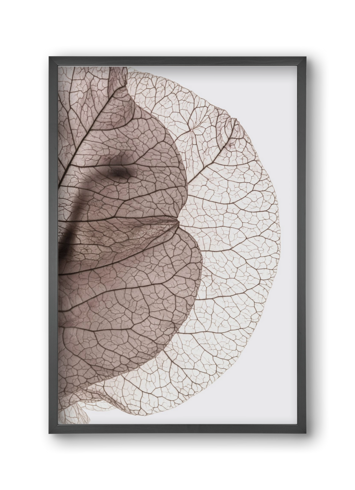 Bougainvillea Island, 30x45 cm (30x45 cm), Fekete keret