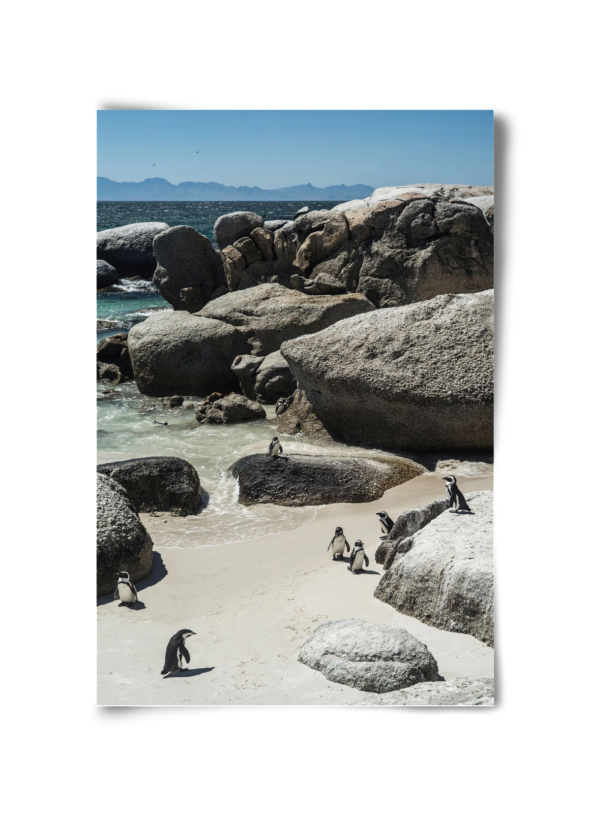 Boulders Beach, 30x45 cm, Keret nélkül