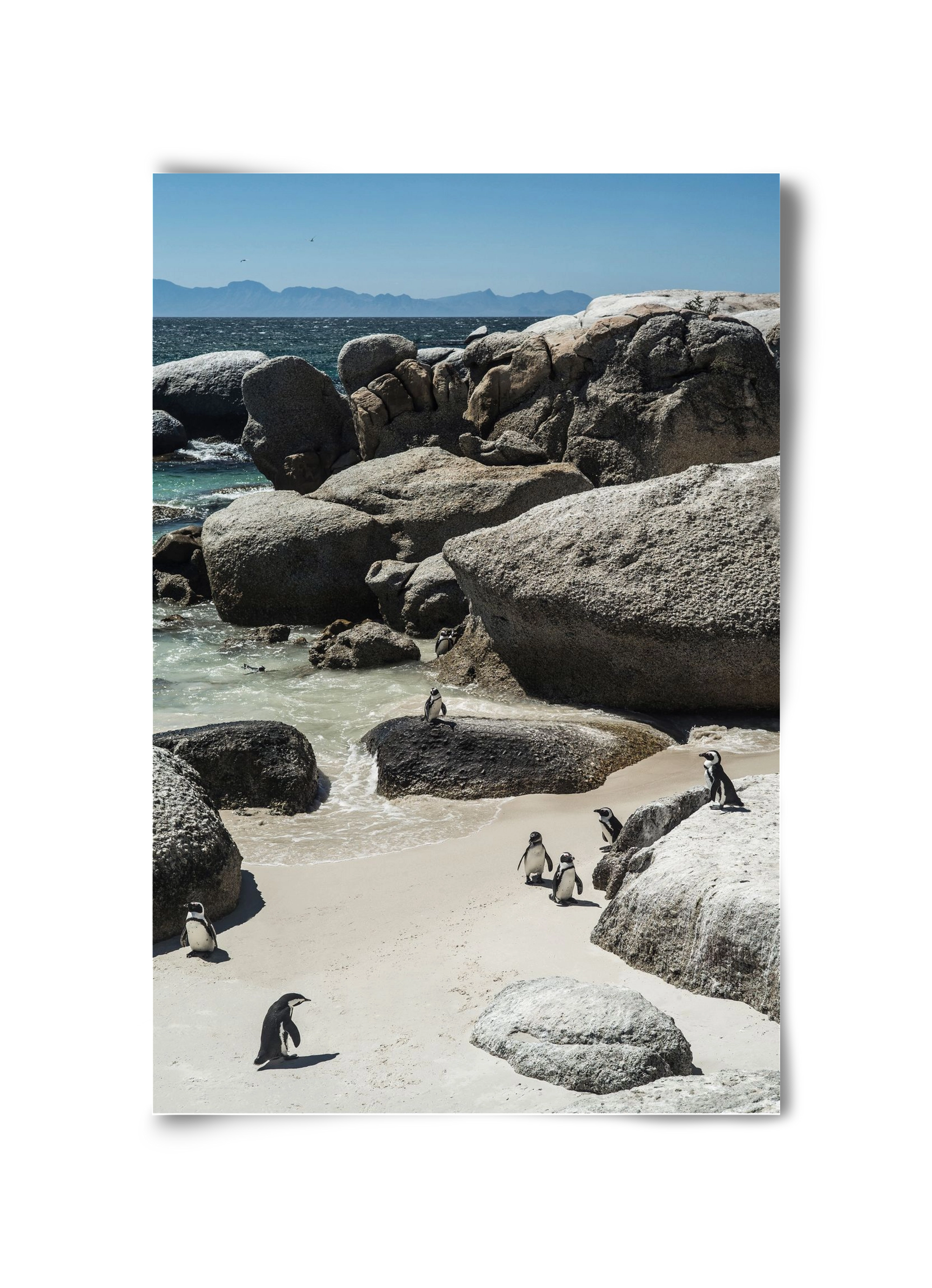 Boulders Beach, 30x45 cm, Keret nélkül