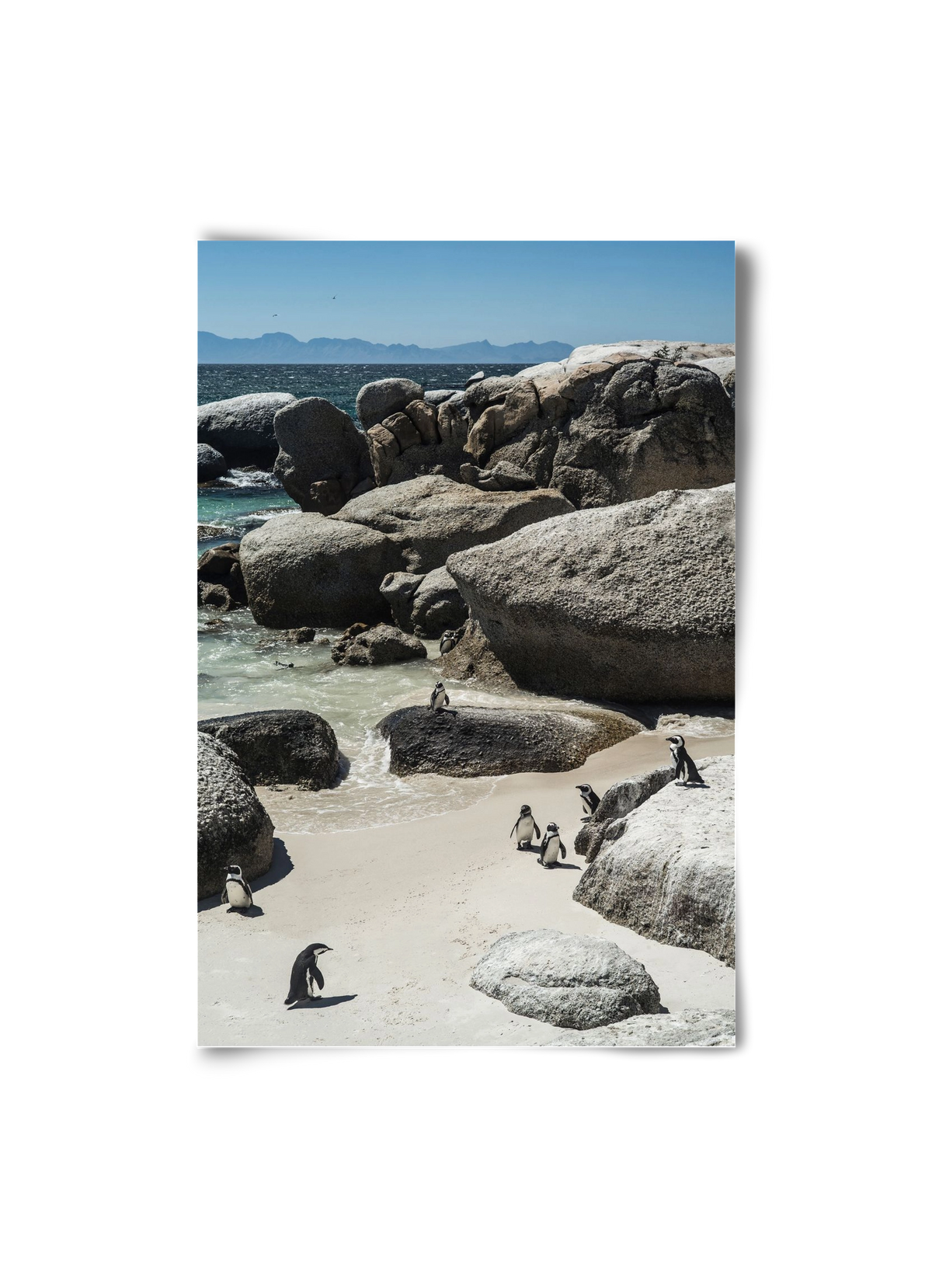 Boulders Beach, 20x30 cm, Keret nélkül
