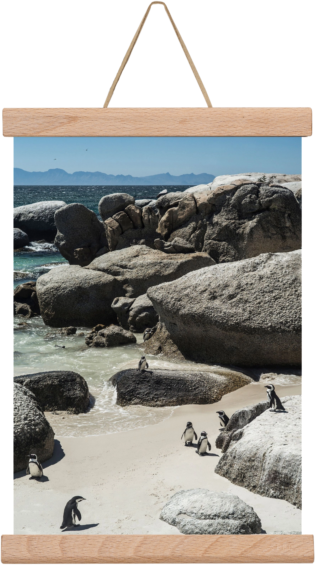 Boulders Beach, 20x30 cm (20x30 cm), Tölgy akasztó