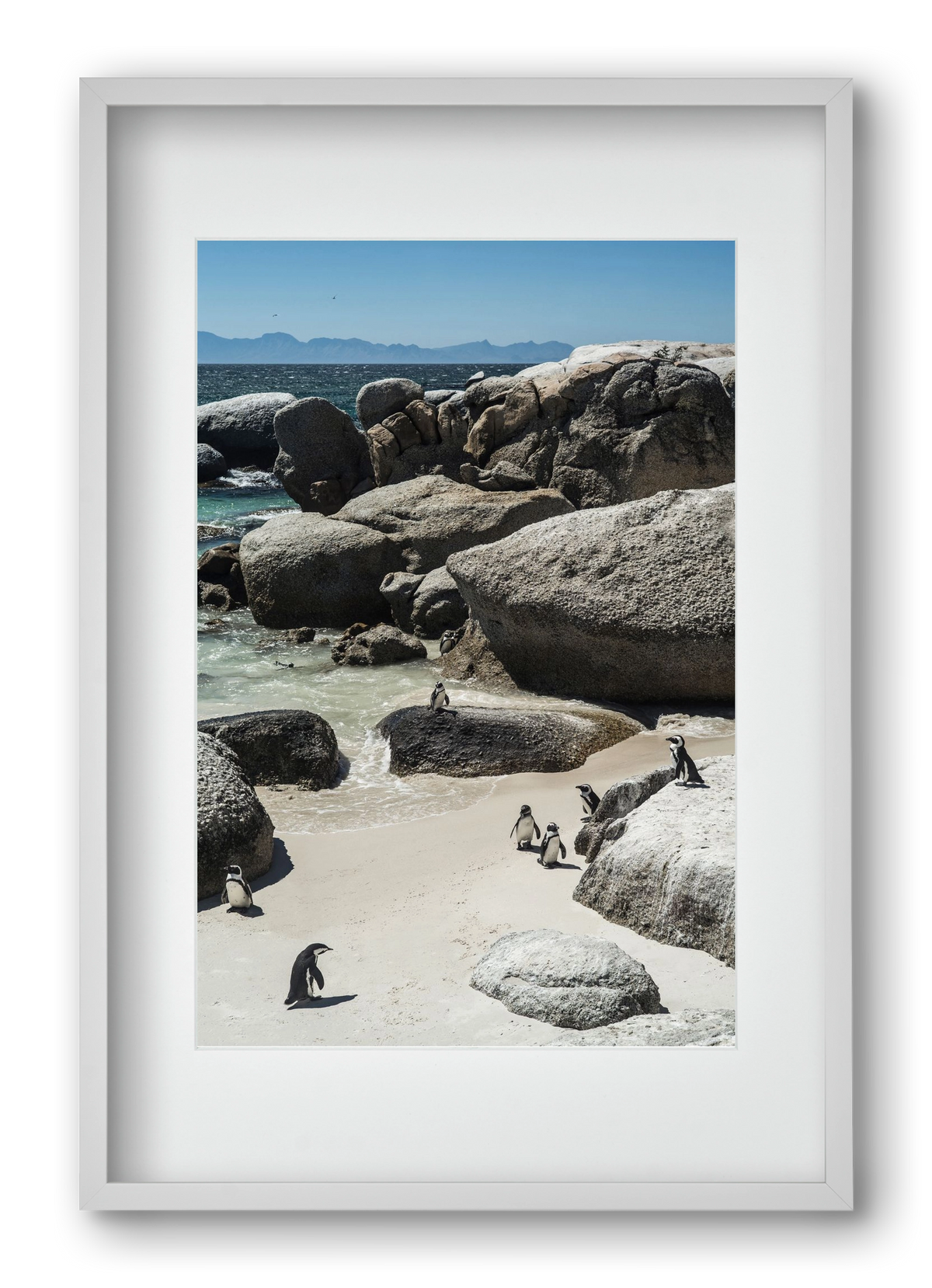 Boulders Beach, 40x60 cm (30x45 cm), Fehér keret, paszpartuval