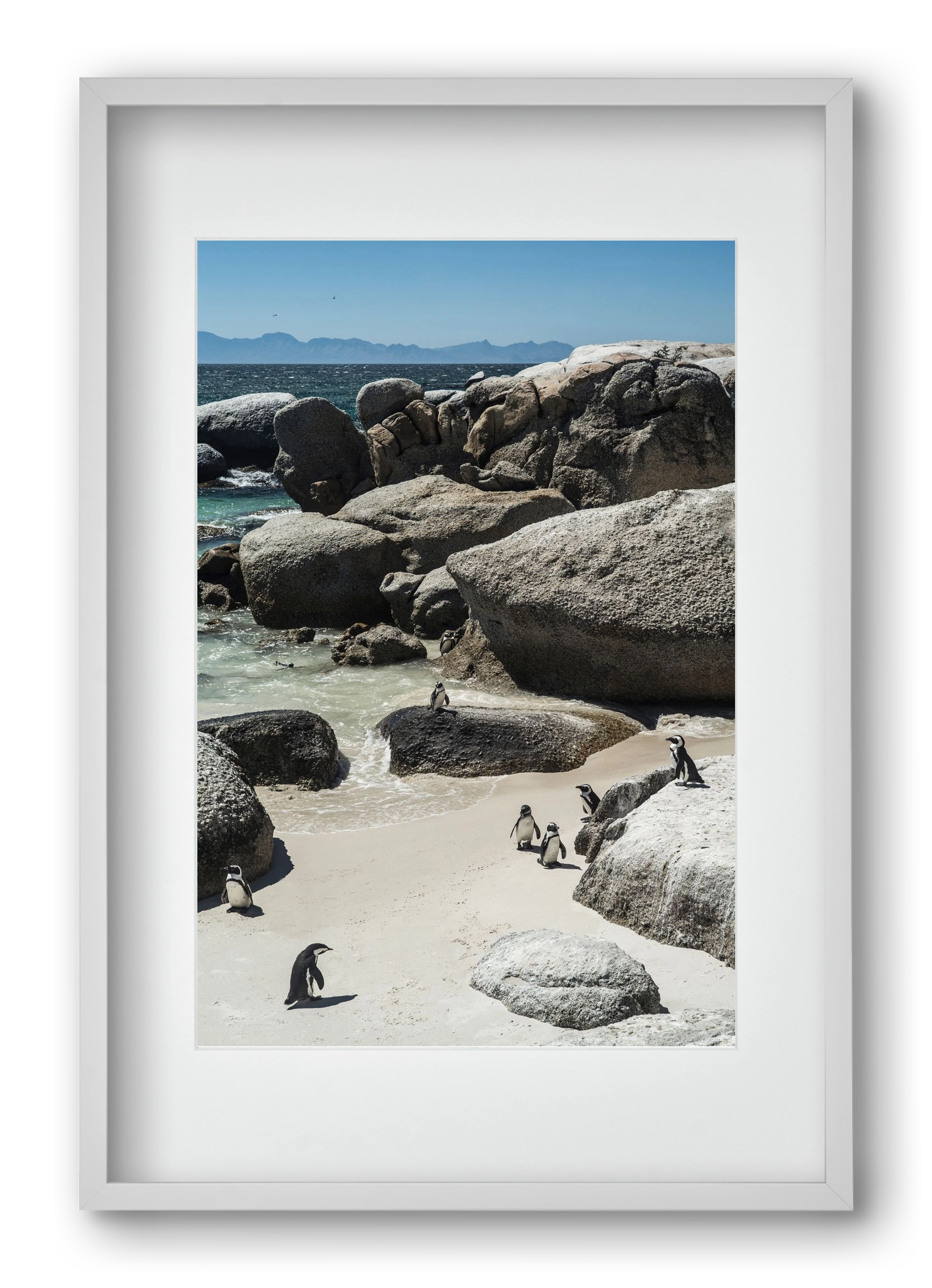 Boulders Beach, 40x60 cm (30x45 cm), Fehér keret, paszpartuval