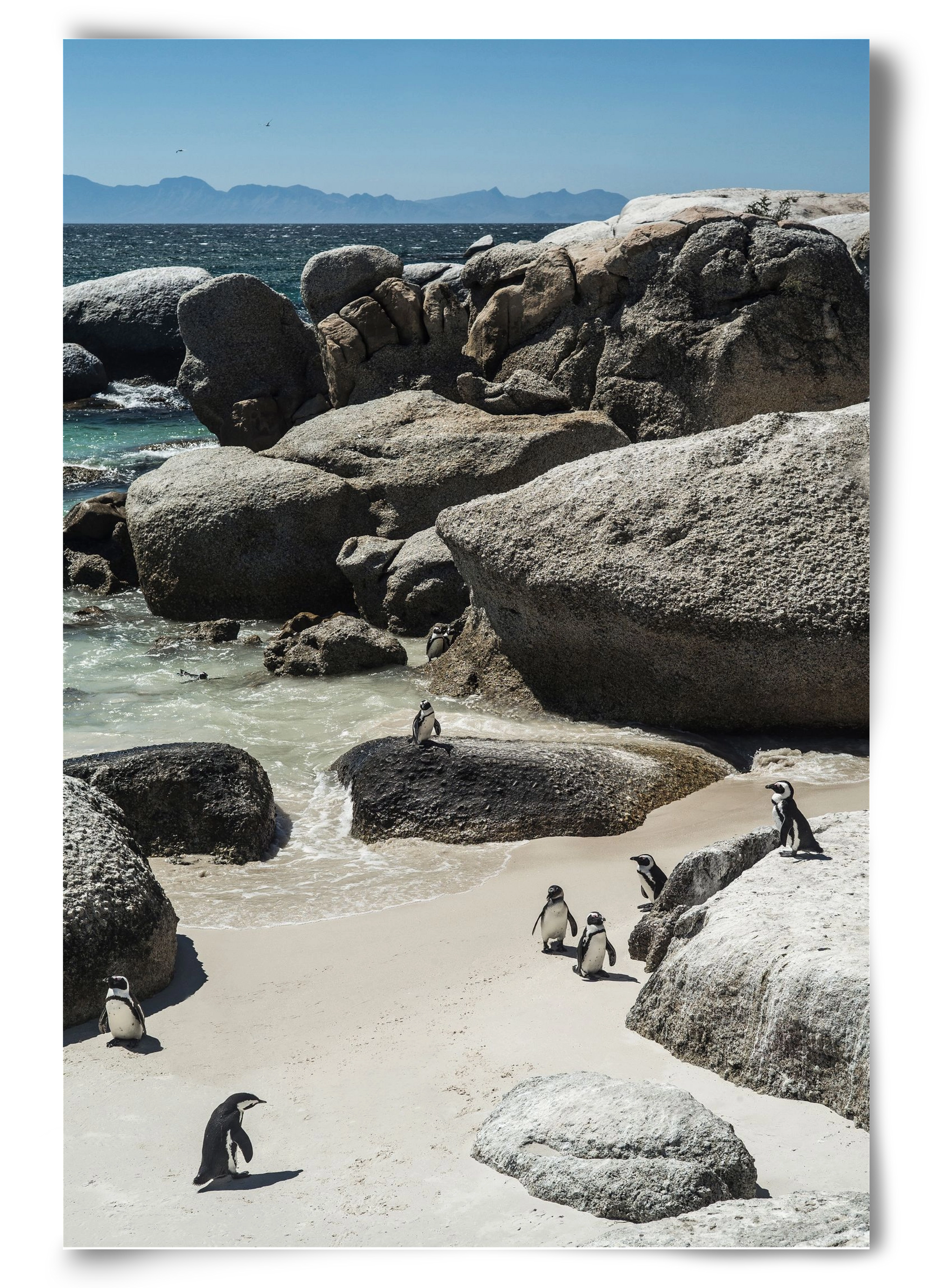 Boulders Beach, 60x90 cm, Keret nélkül