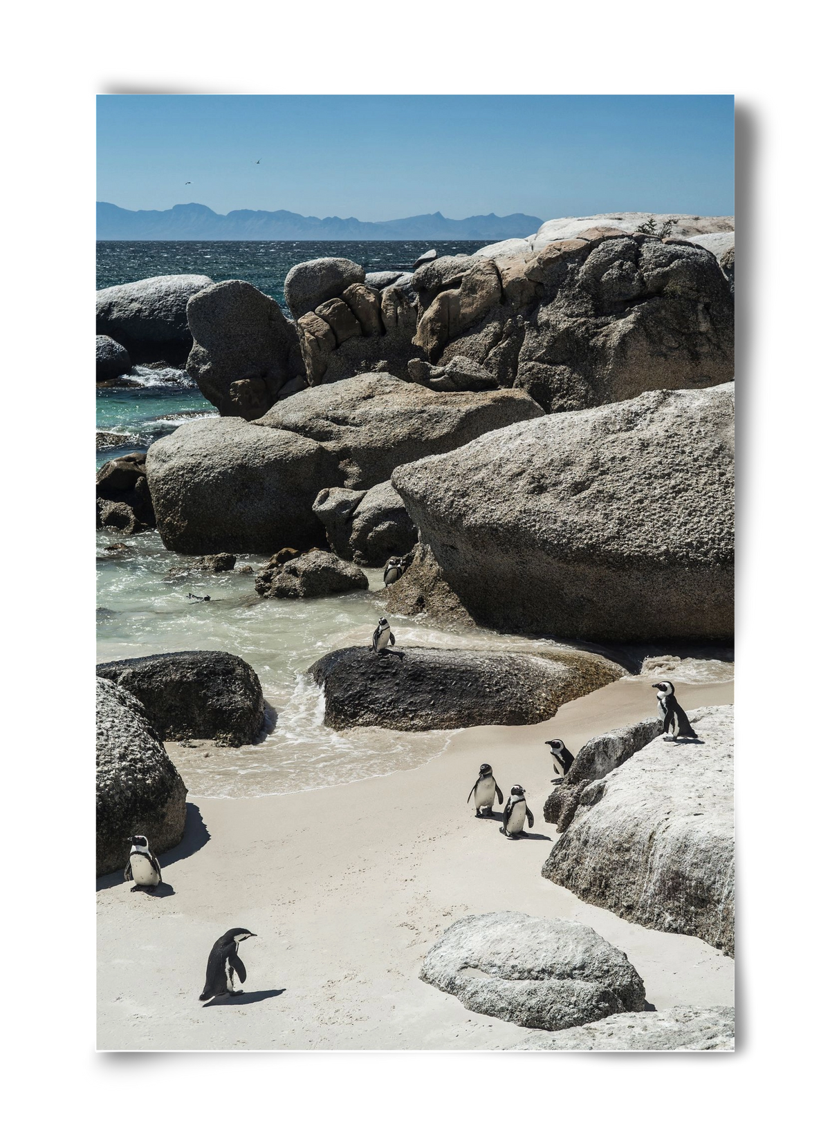 Boulders Beach, 40x60 cm, Keret nélkül