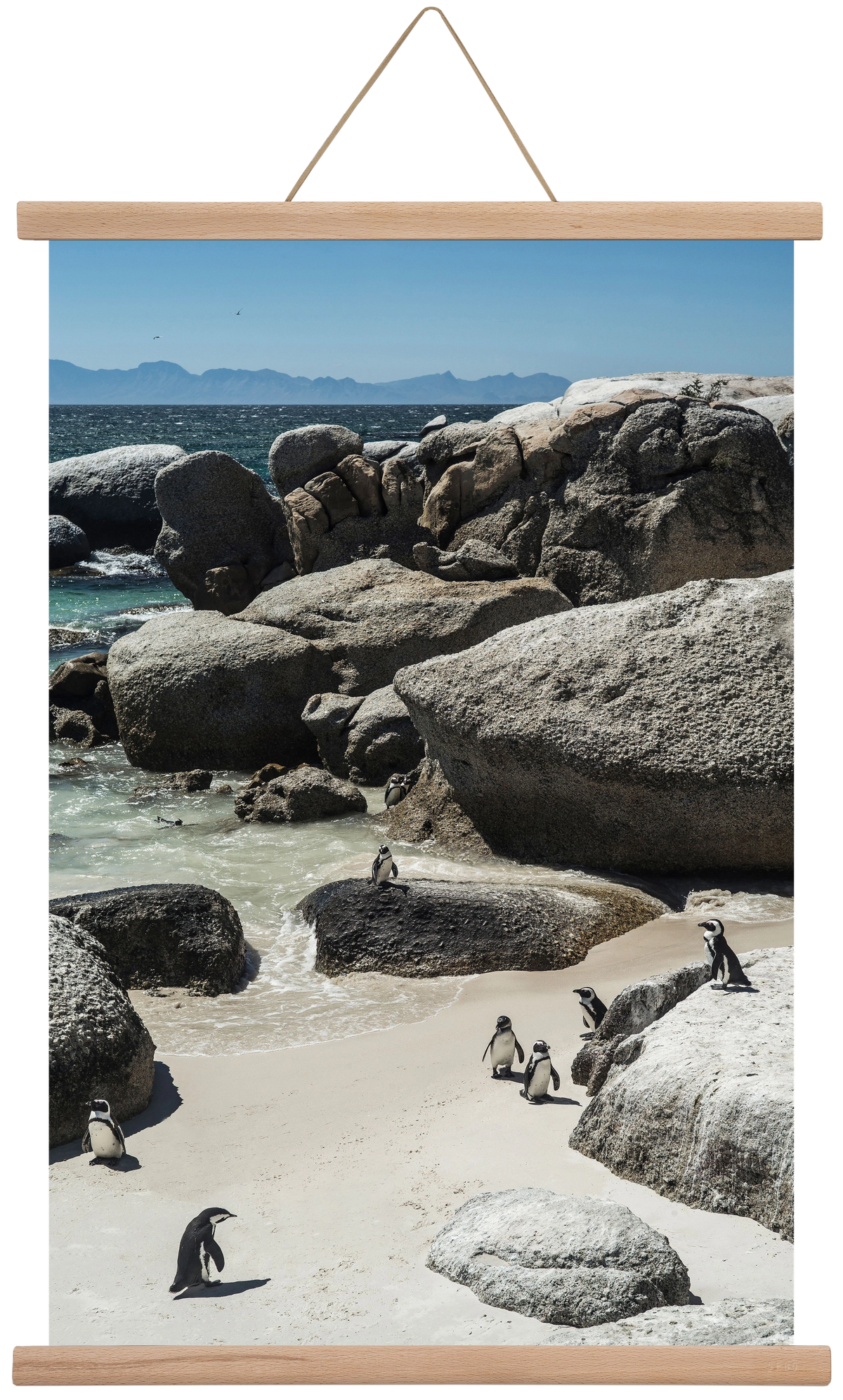 Boulders Beach, 40x60 cm (40x60 cm), Tölgy akasztó