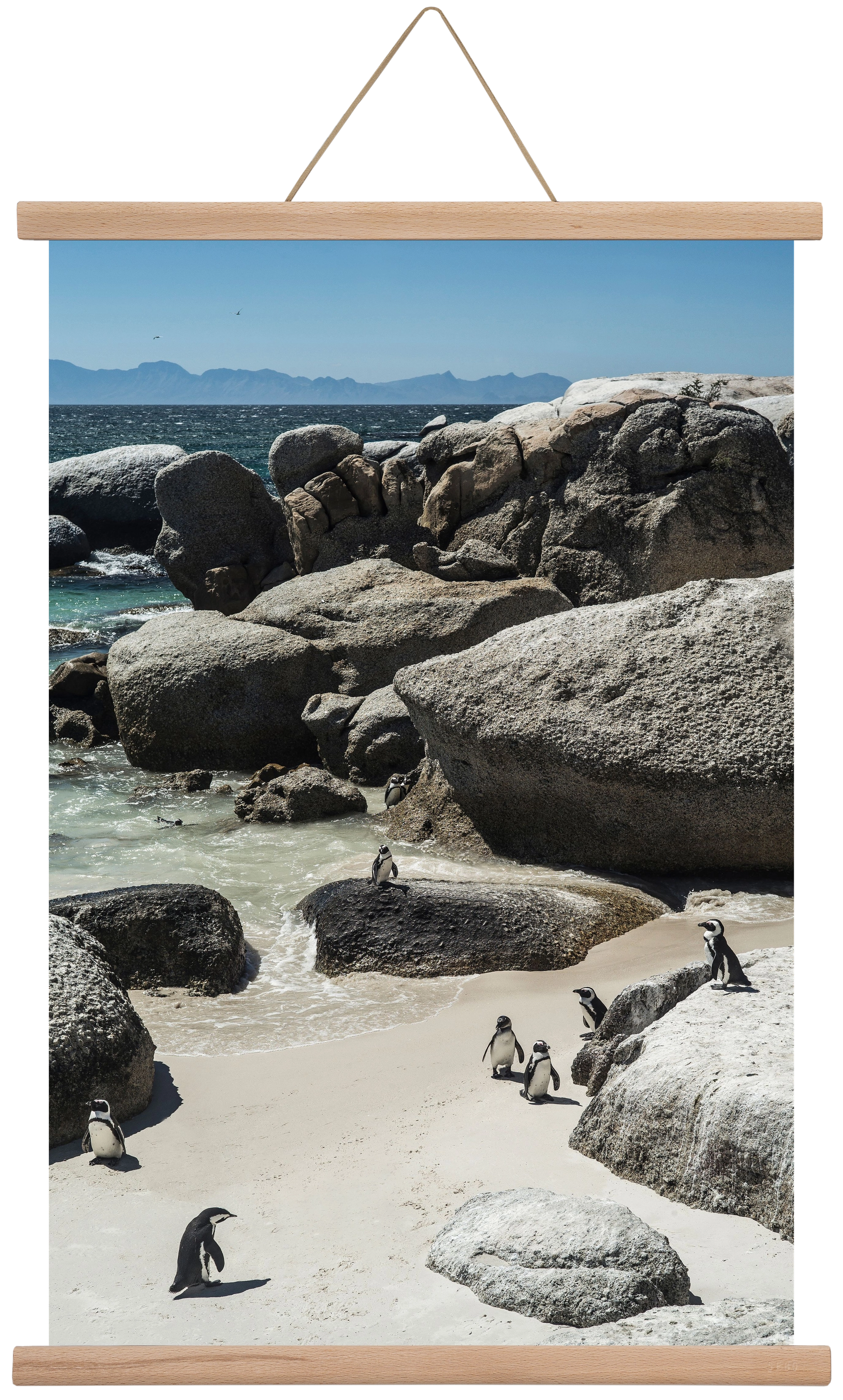 Boulders Beach, 40x60 cm (40x60 cm), Tölgy akasztó