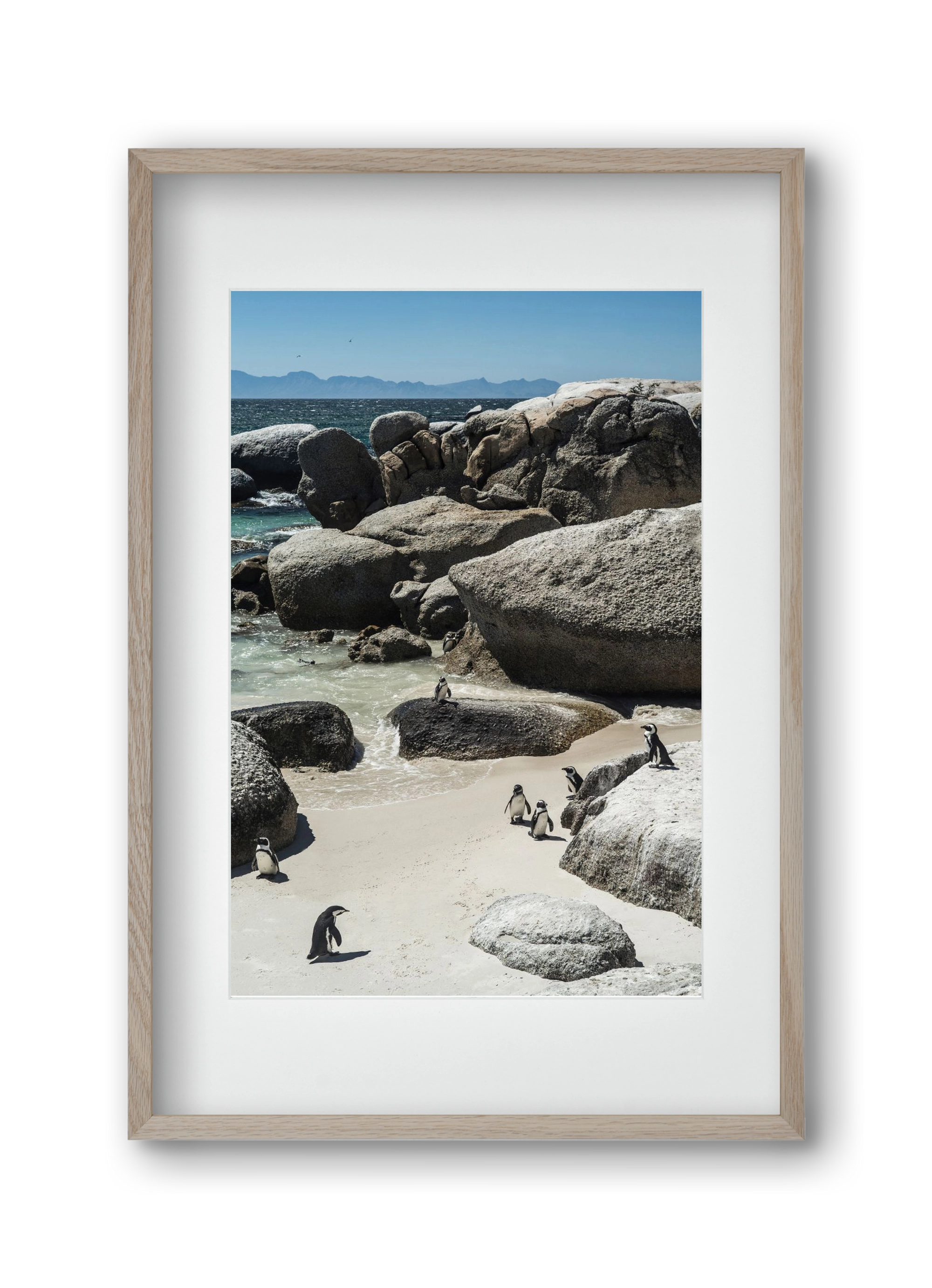 Boulders Beach, 30x45 cm (20x30 cm), Tölgy keret, paszpartuval