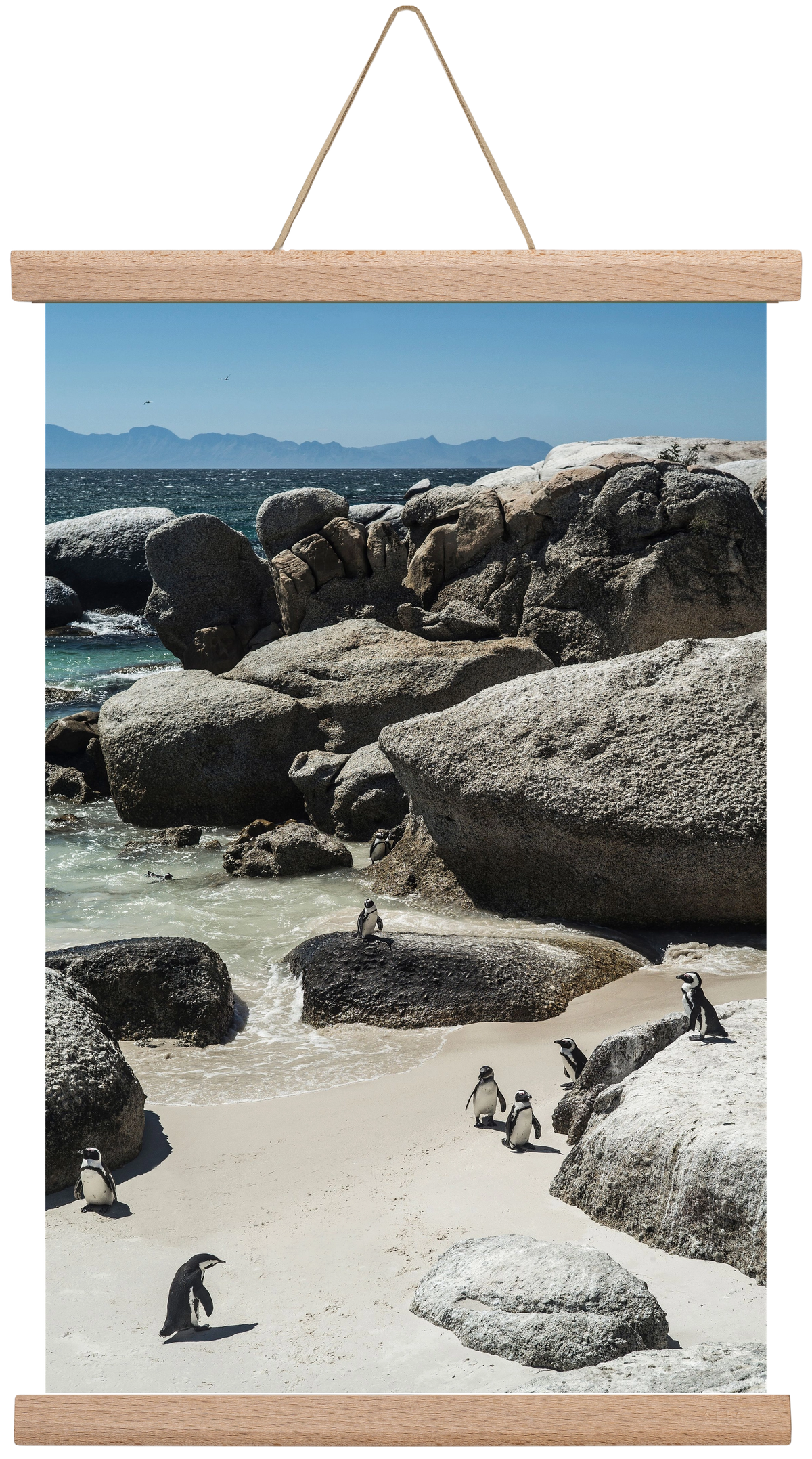 Boulders Beach, 30x45 cm (30x45 cm), Tölgy akasztó