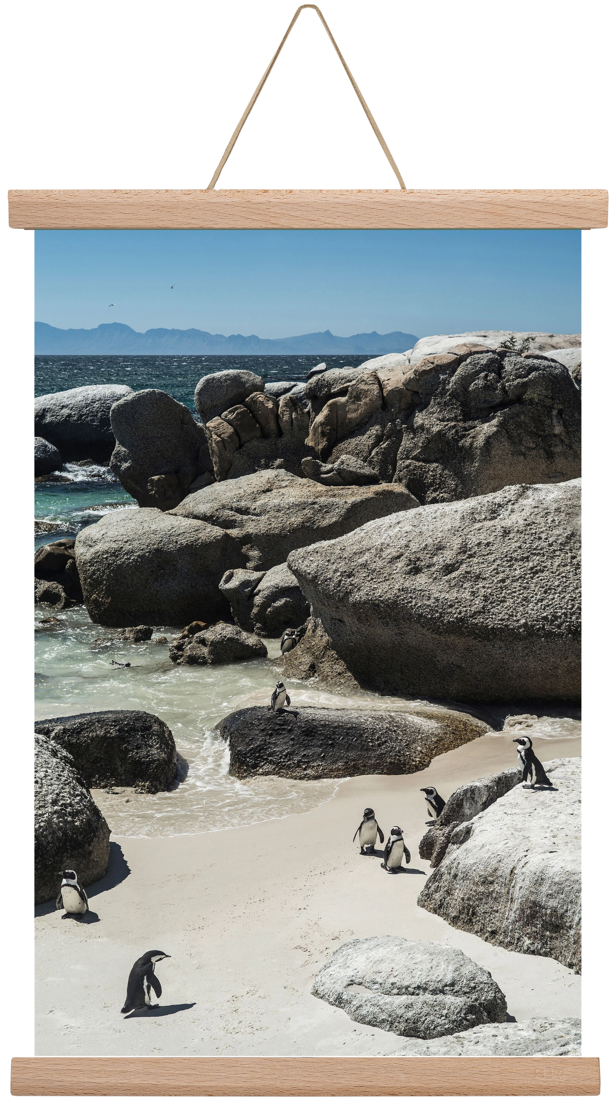 Boulders Beach, 30x45 cm (30x45 cm), Tölgy akasztó