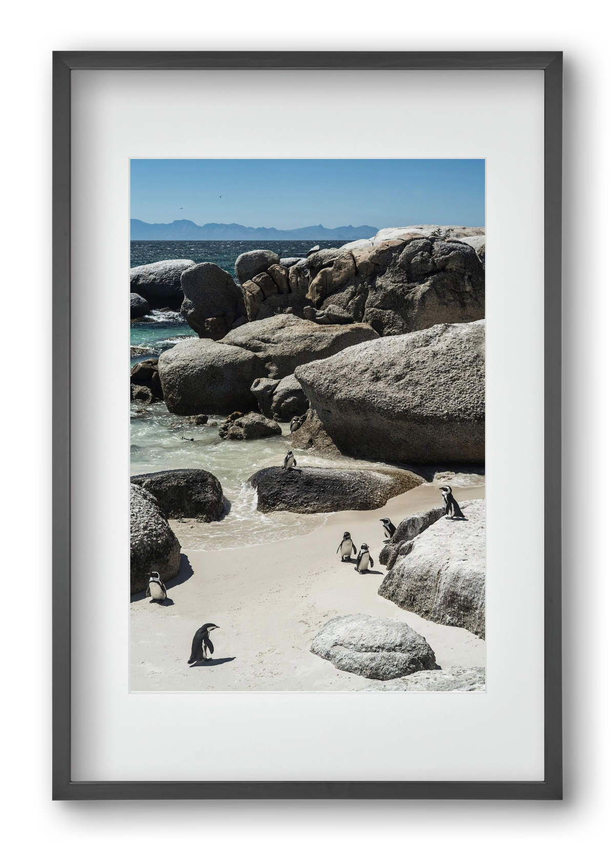 Boulders Beach, 40x60 cm (30x45 cm), Fekete keret, paszpartuval