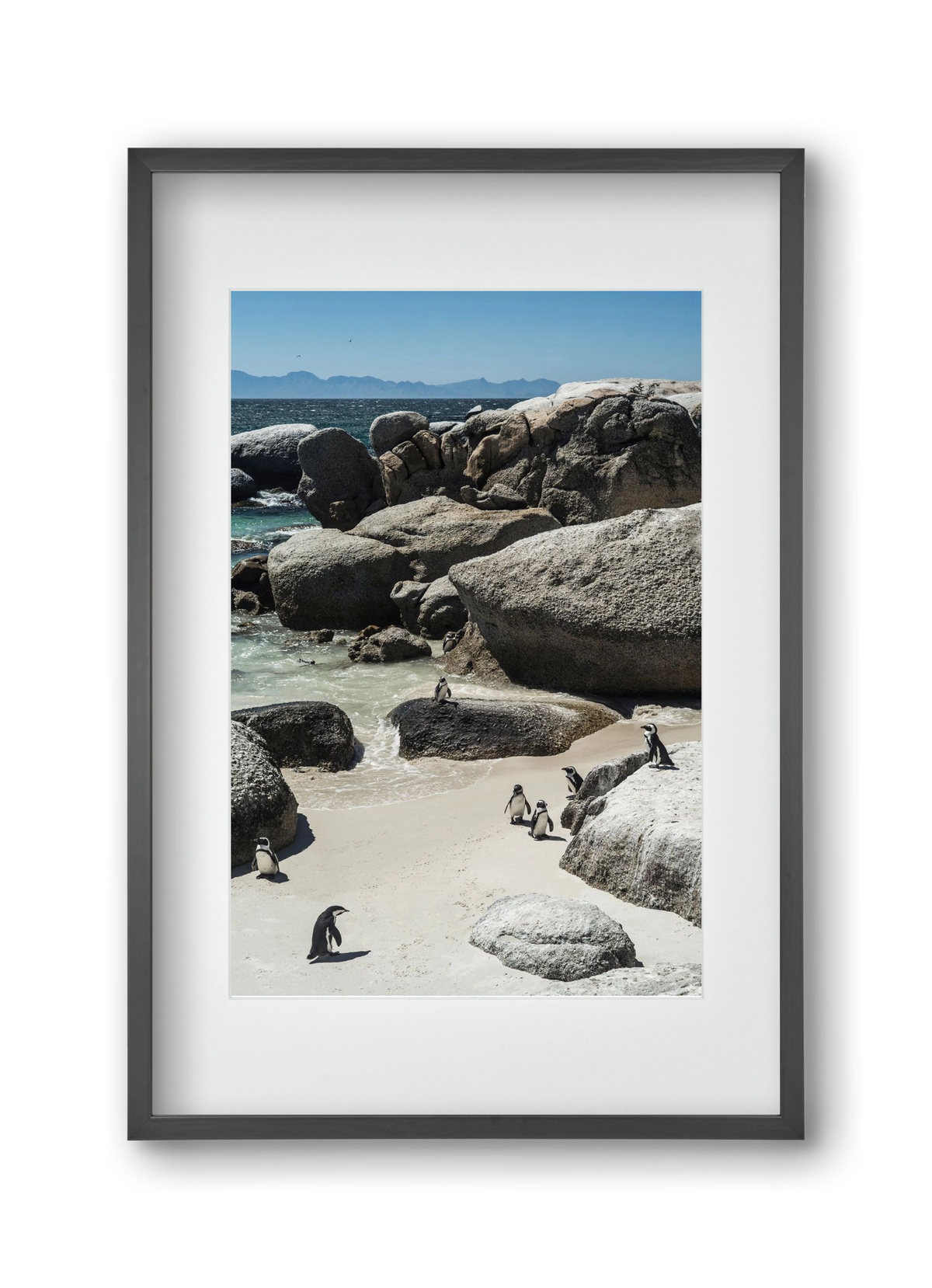 Boulders Beach, 30x45 cm (20x30 cm), Fekete keret, paszpartuval
