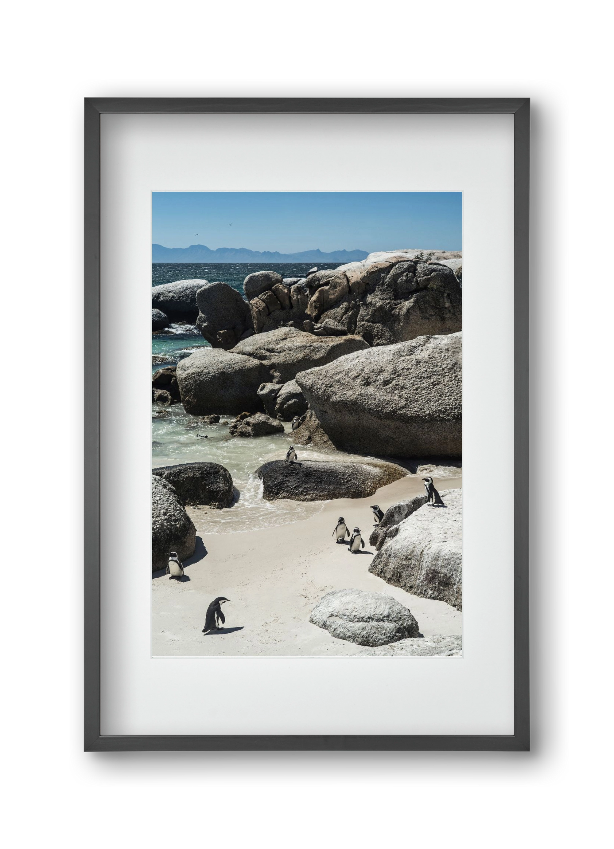 Boulders Beach, 30x45 cm (20x30 cm), Fekete keret, paszpartuval