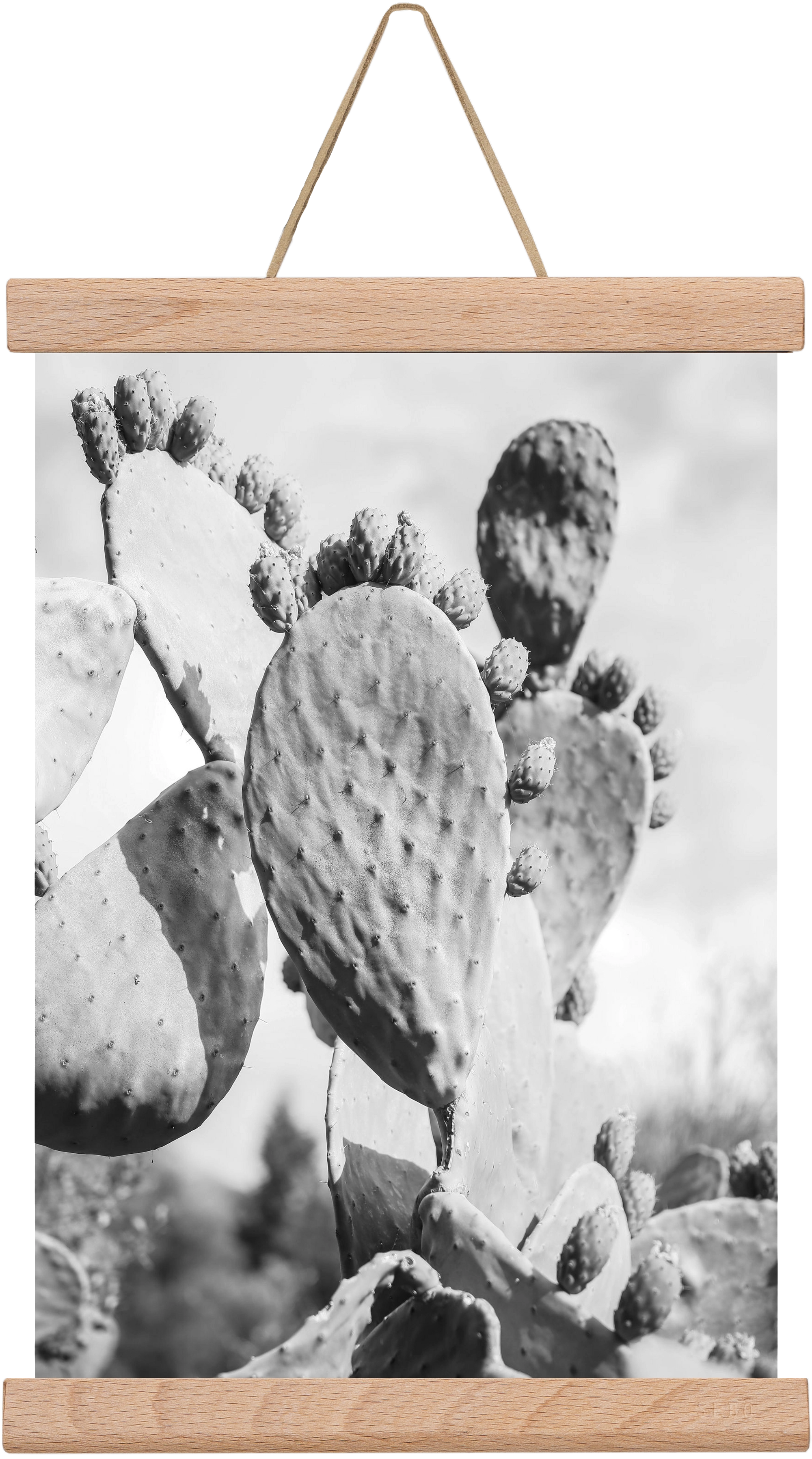 Cacti Cowboy, 20x30 cm (20x30 cm), Tölgy akasztó