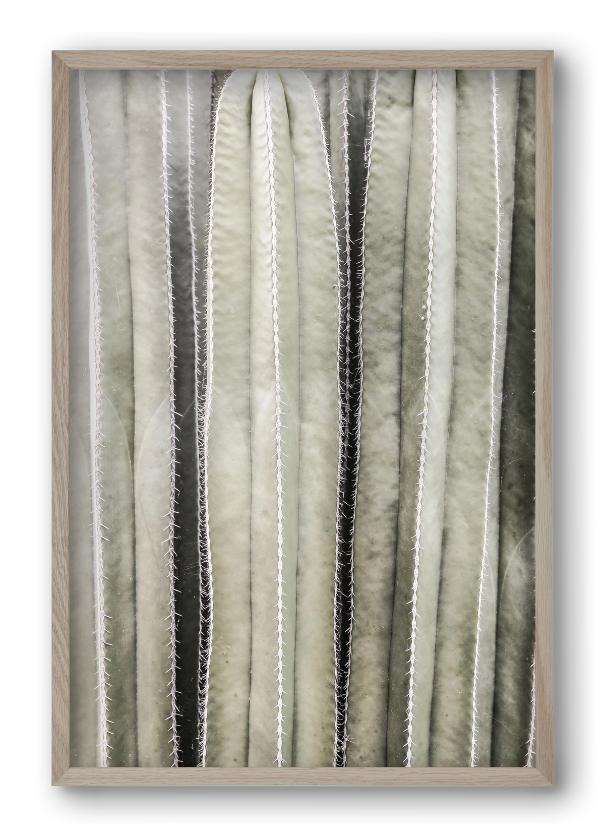 Cactiriver, 40x60 cm (40x60 cm), Tölgy keret