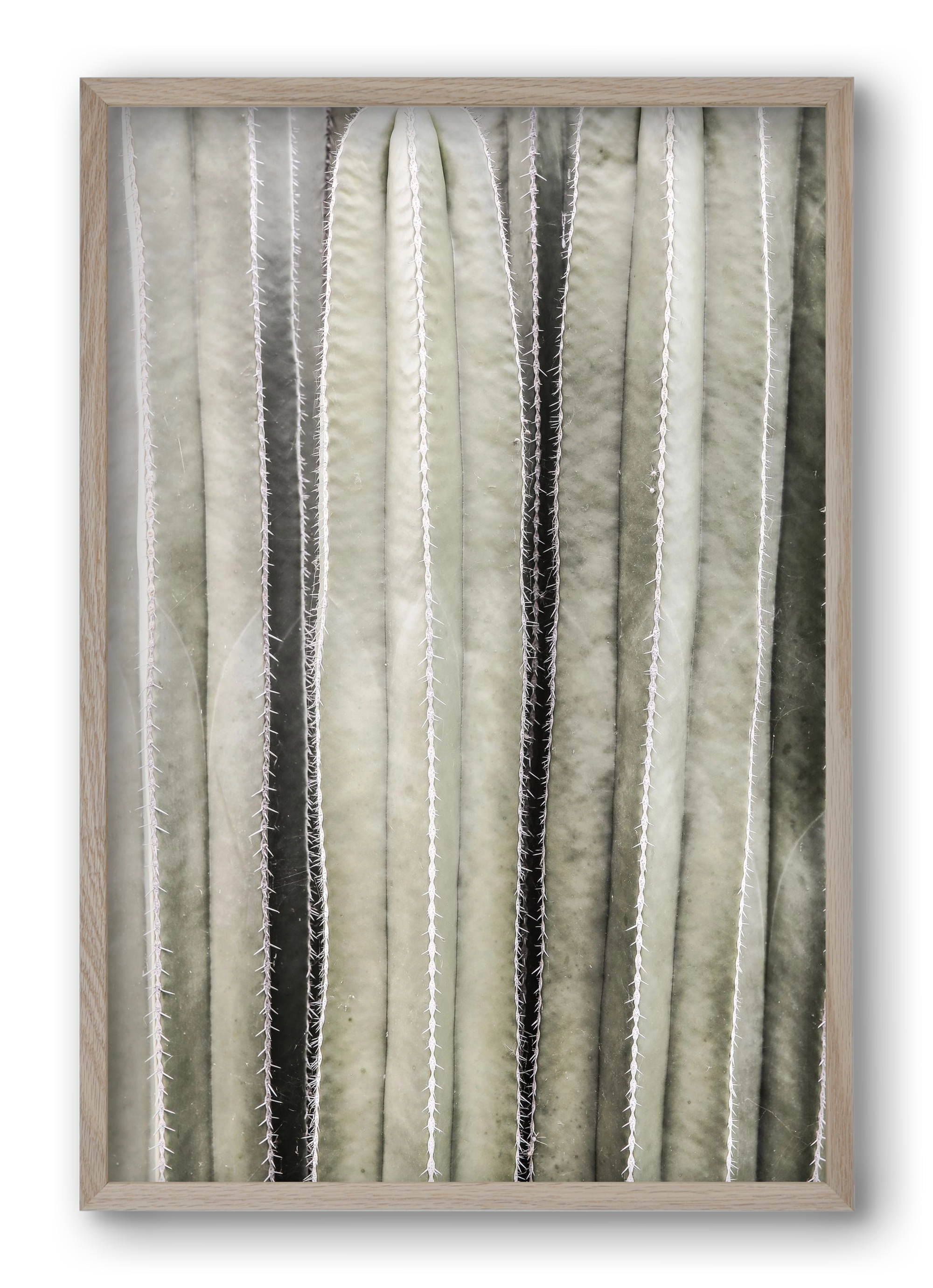 Cactiriver, 40x60 cm (40x60 cm), Tölgy keret