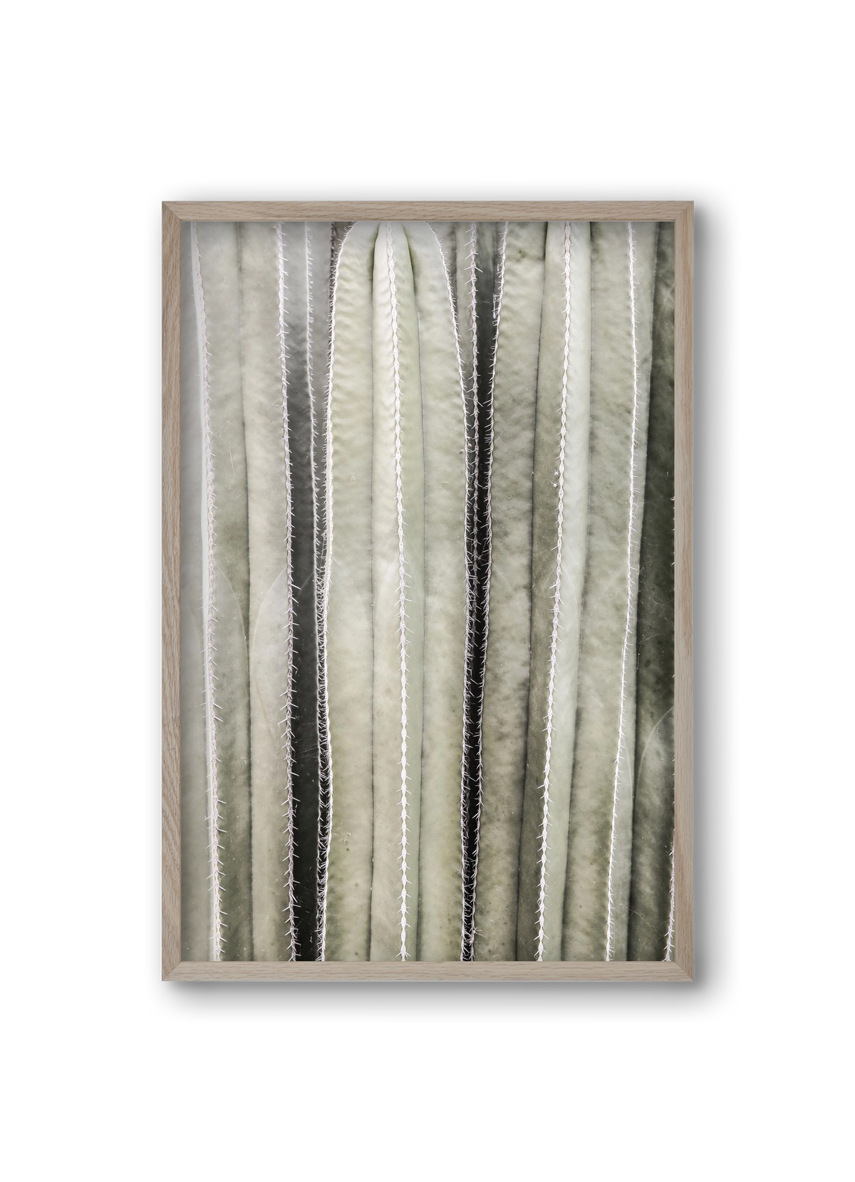 Cactiriver, 20x30 cm (20x30 cm), Tölgy keret