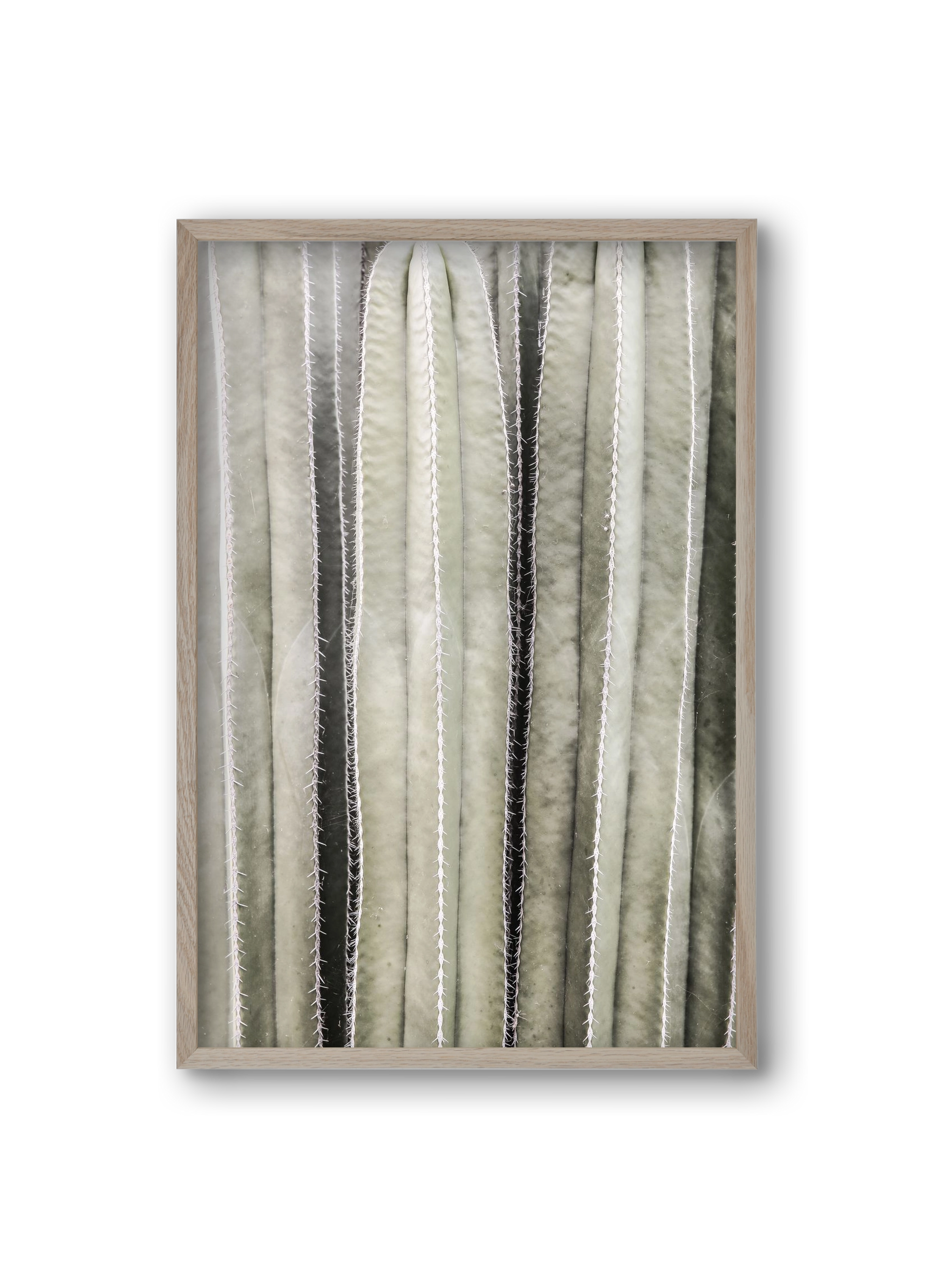 Cactiriver, 20x30 cm (20x30 cm), Tölgy keret