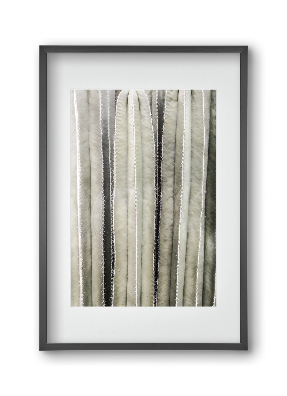 Cactiriver, 30x45 cm (20x30 cm), Fekete keret, paszpartuval