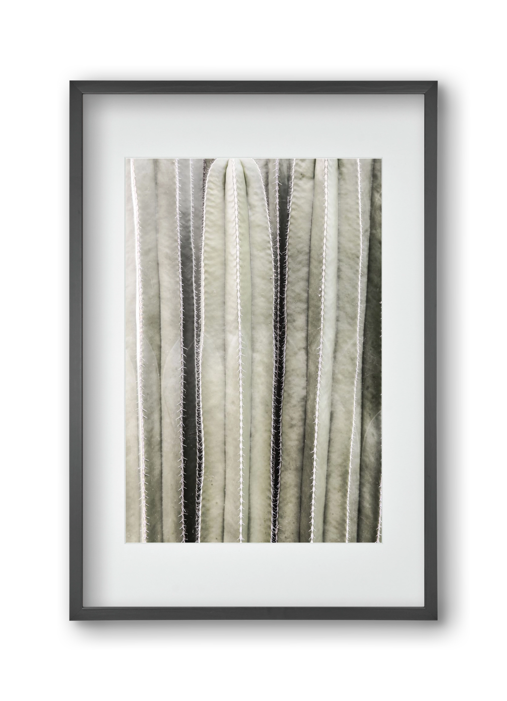 Cactiriver, 30x45 cm (20x30 cm), Fekete keret, paszpartuval