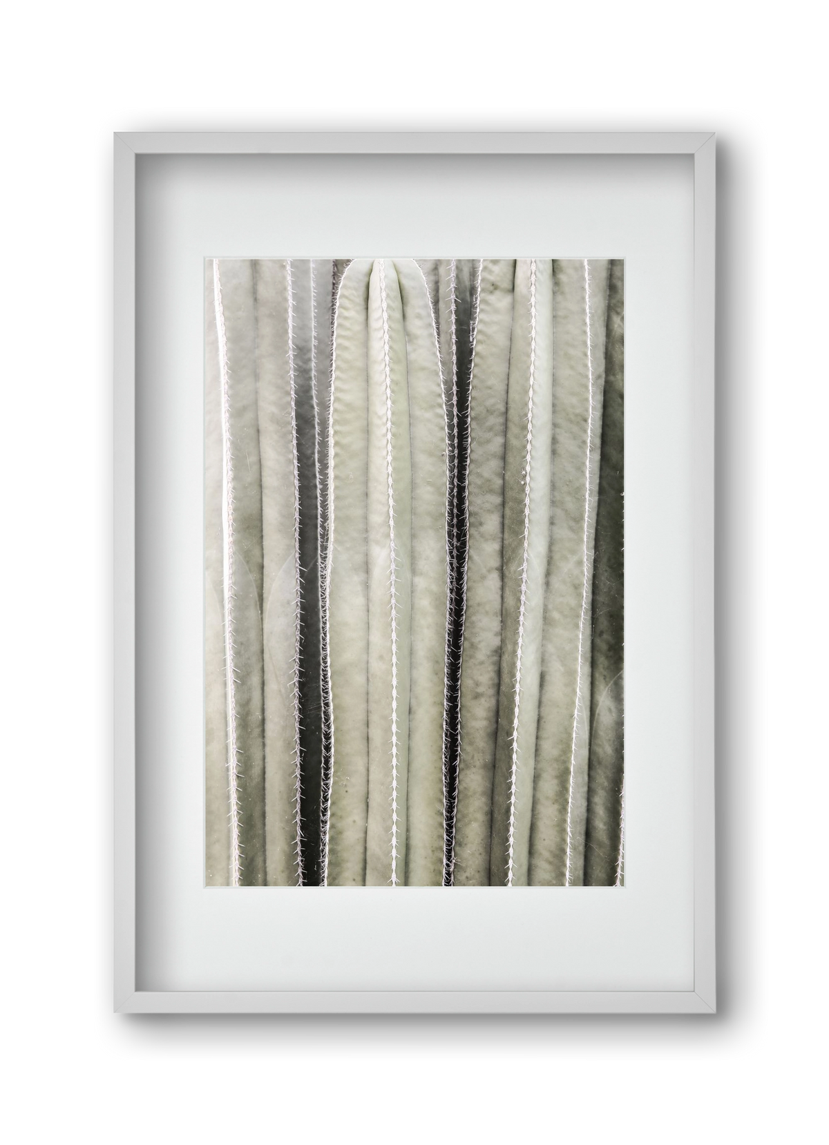 Cactiriver, 30x45 cm (20x30 cm), Fehér keret, paszpartuval