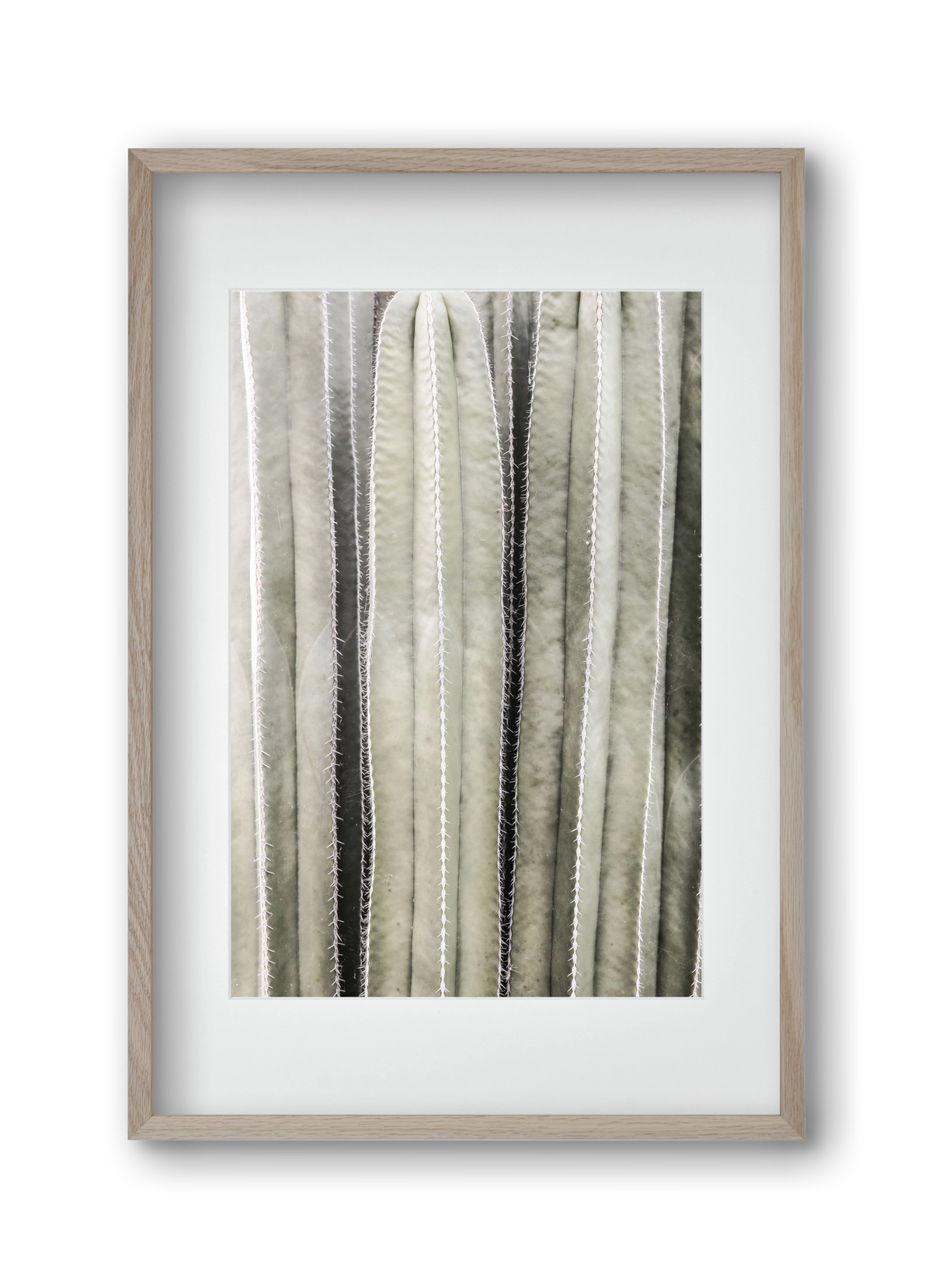 Cactiriver, 30x45 cm (20x30 cm), Tölgy keret, paszpartuval