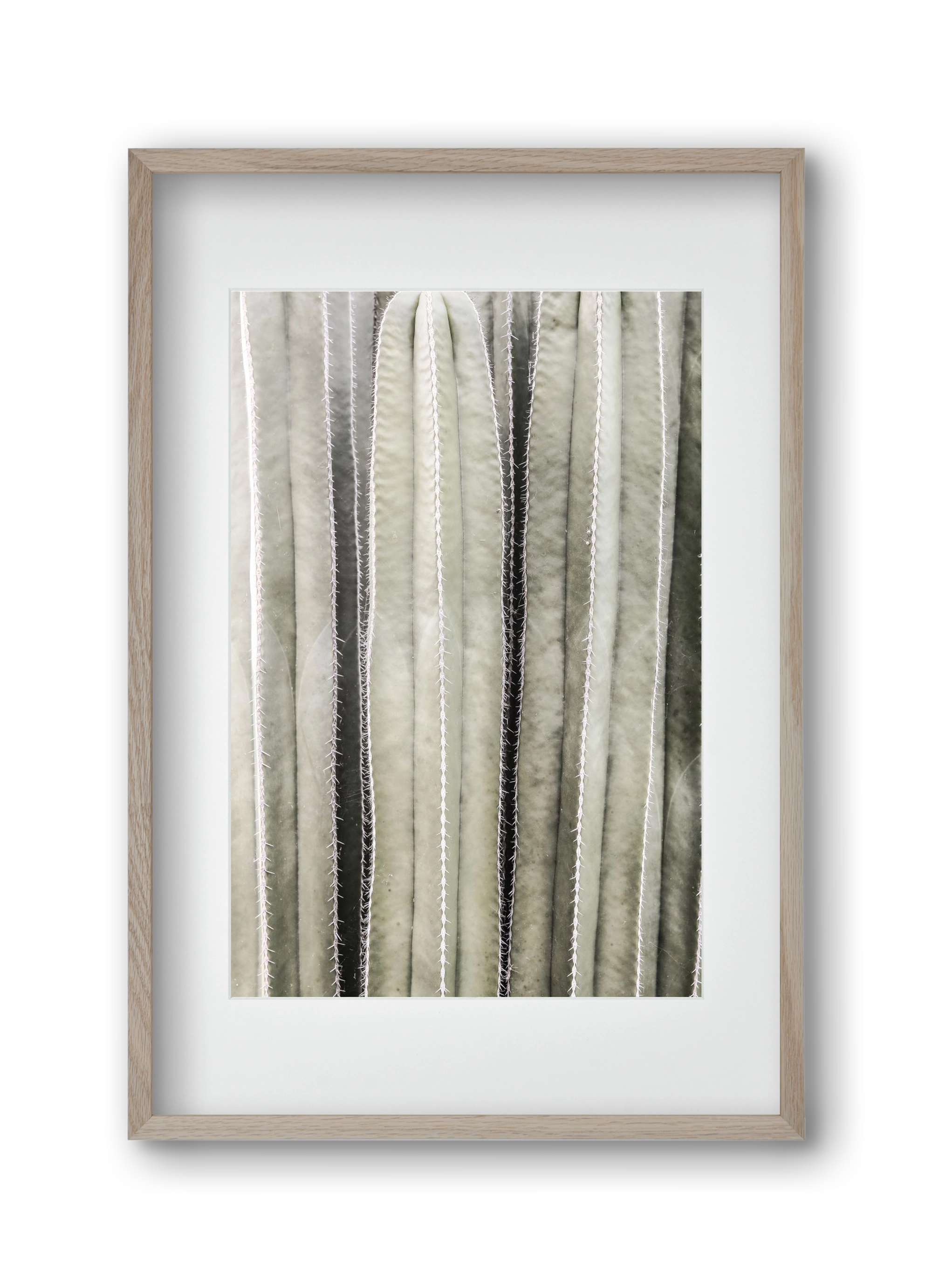 Cactiriver, 30x45 cm (20x30 cm), Tölgy keret, paszpartuval