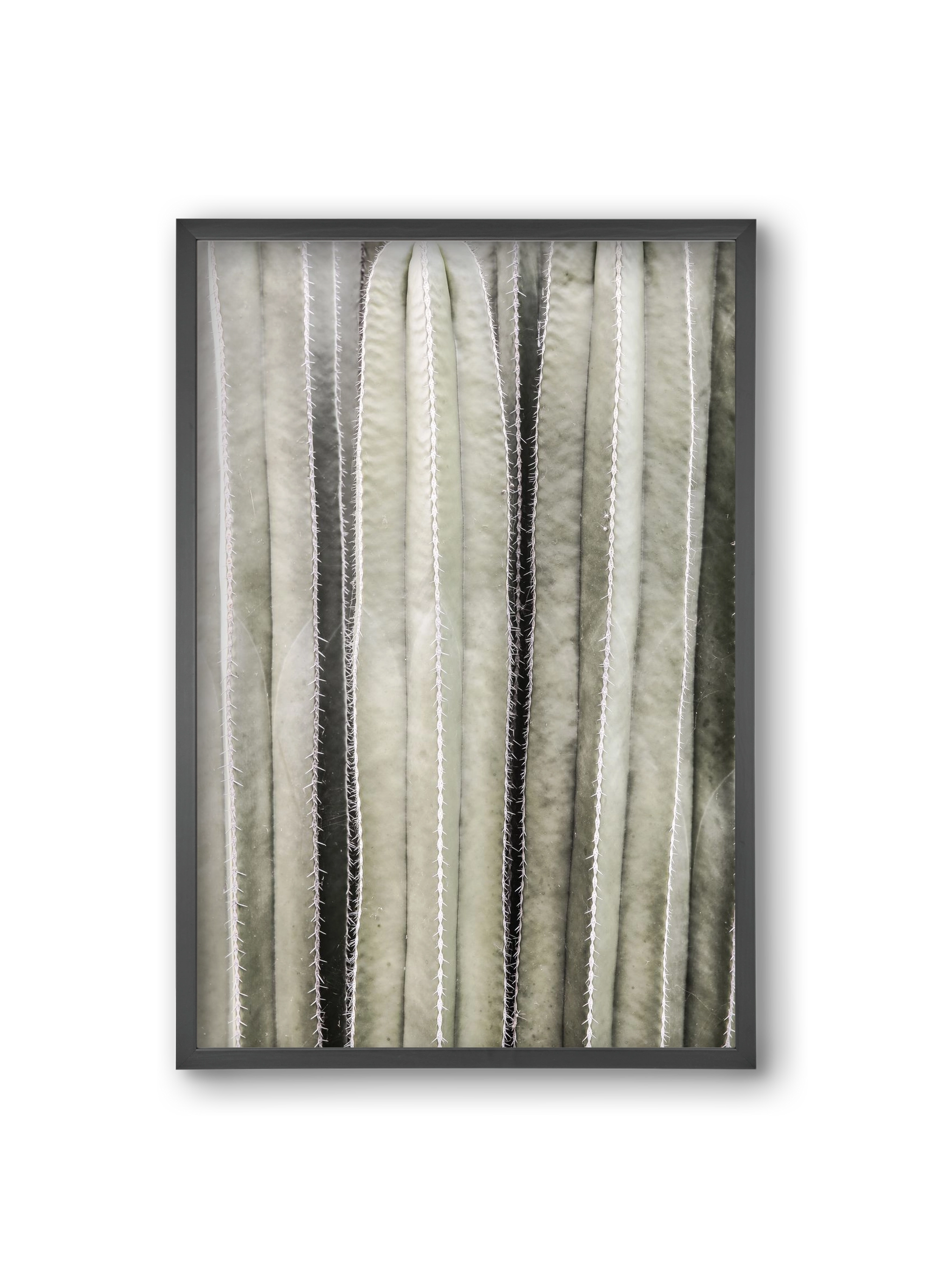 Cactiriver, 20x30 cm (20x30 cm), Fekete keret