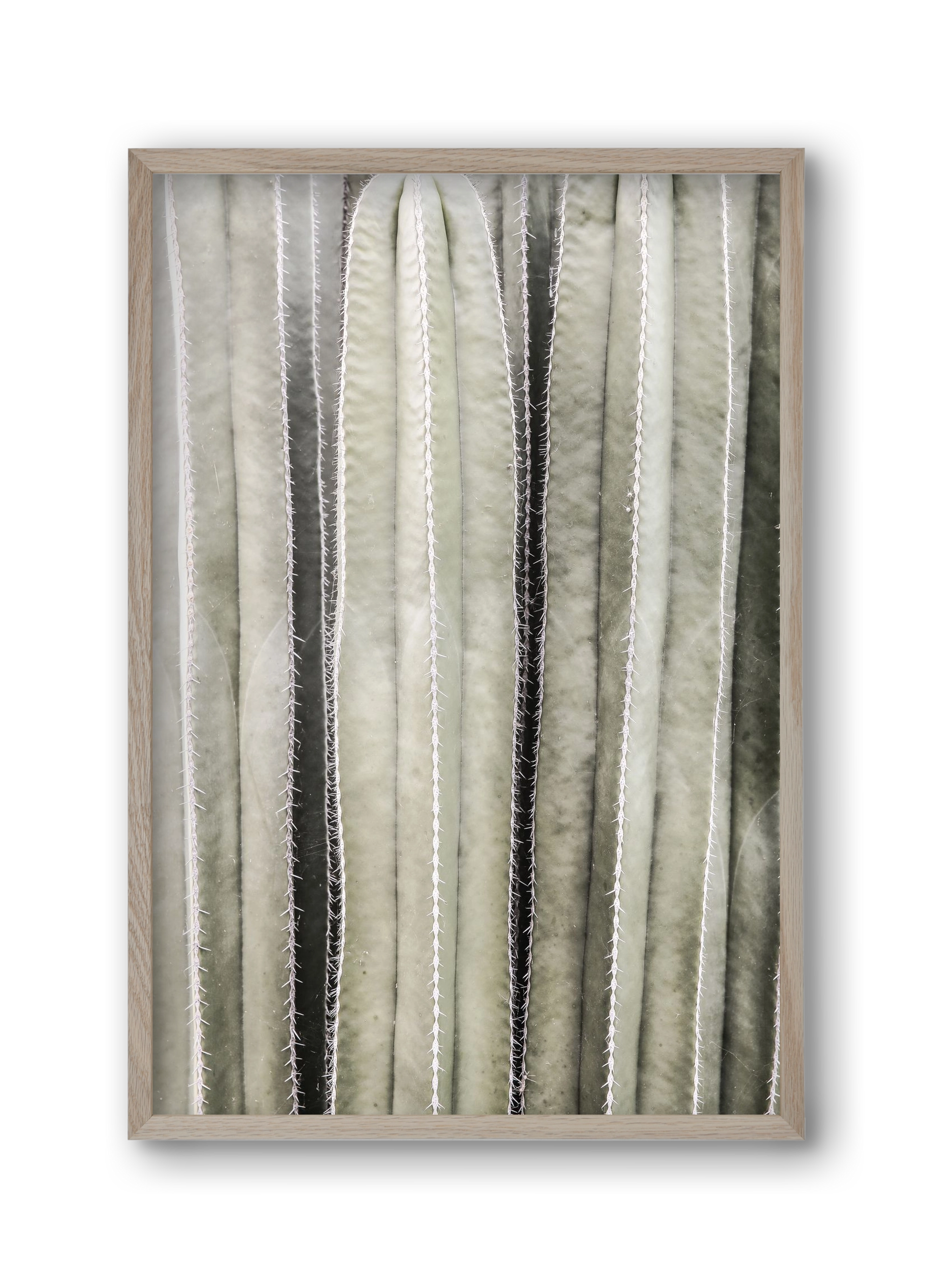 Cactiriver, 30x45 cm (30x45 cm), Tölgy keret
