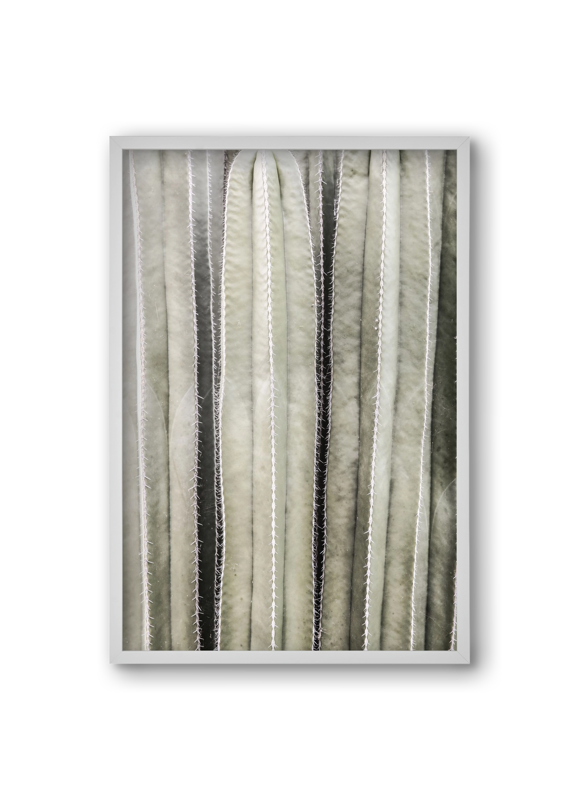 Cactiriver, 20x30 cm (20x30 cm), Fehér keret