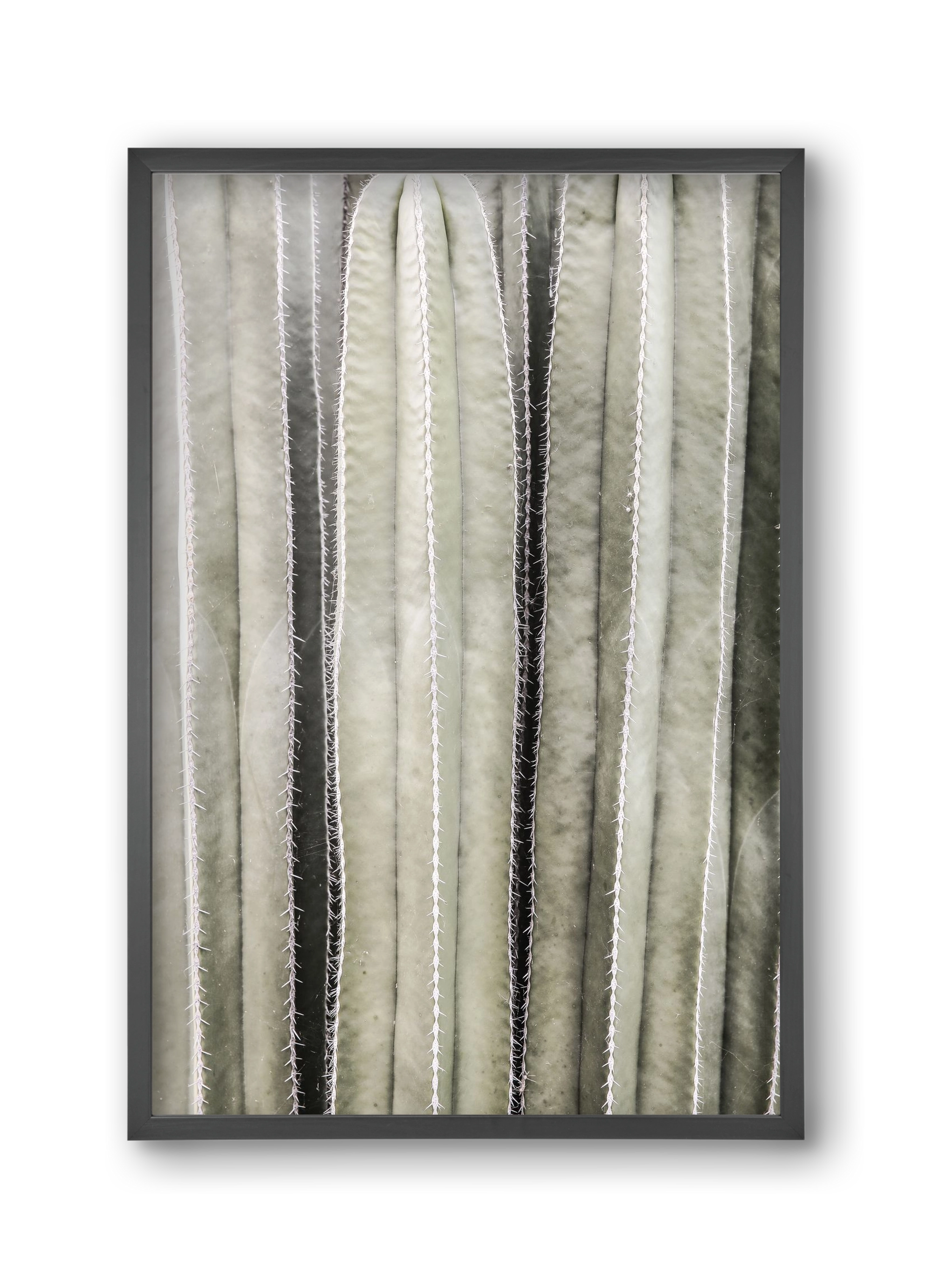 Cactiriver, 30x45 cm (30x45 cm), Fekete keret