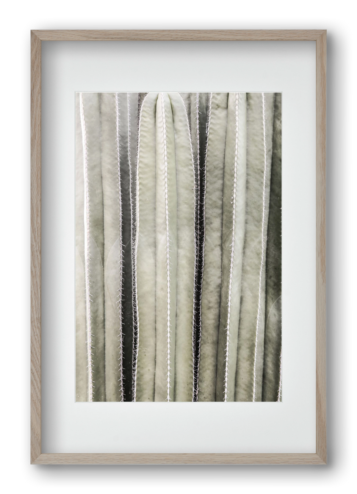 Cactiriver, 40x60 cm (30x45 cm), Tölgy keret, paszpartuval