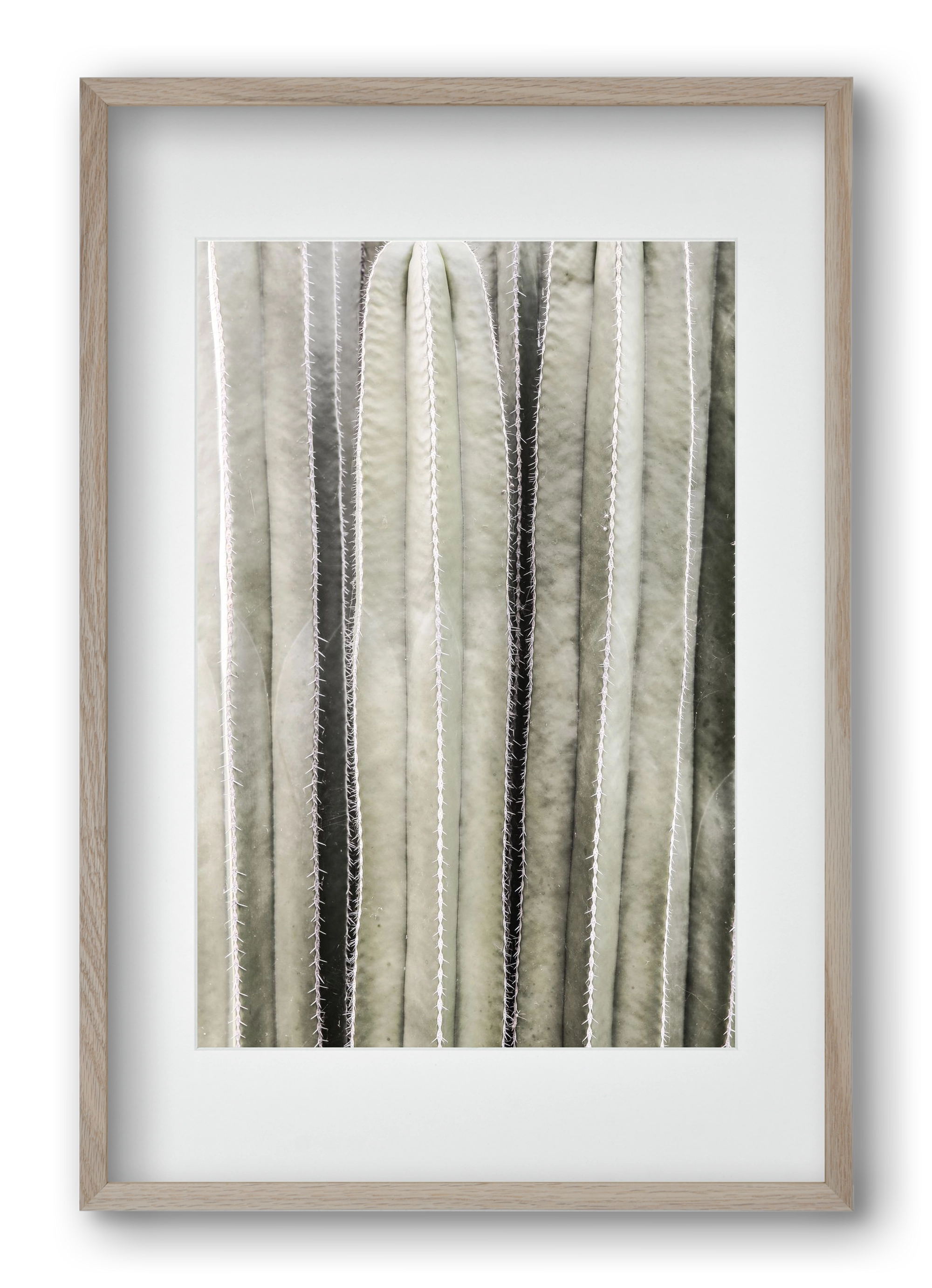 Cactiriver, 40x60 cm (30x45 cm), Tölgy keret, paszpartuval