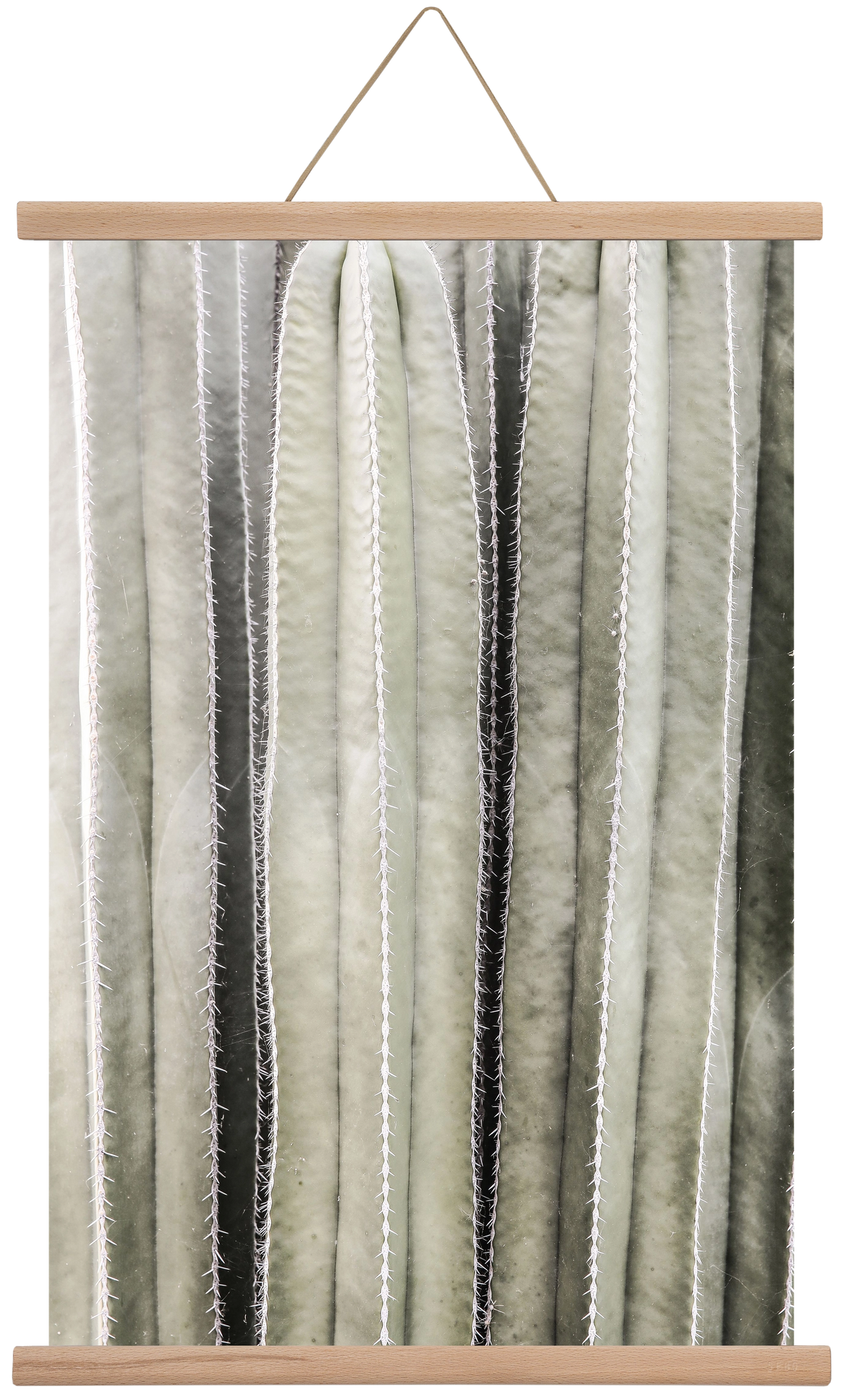 Cactiriver, 40x60 cm (40x60 cm), Tölgy akasztó