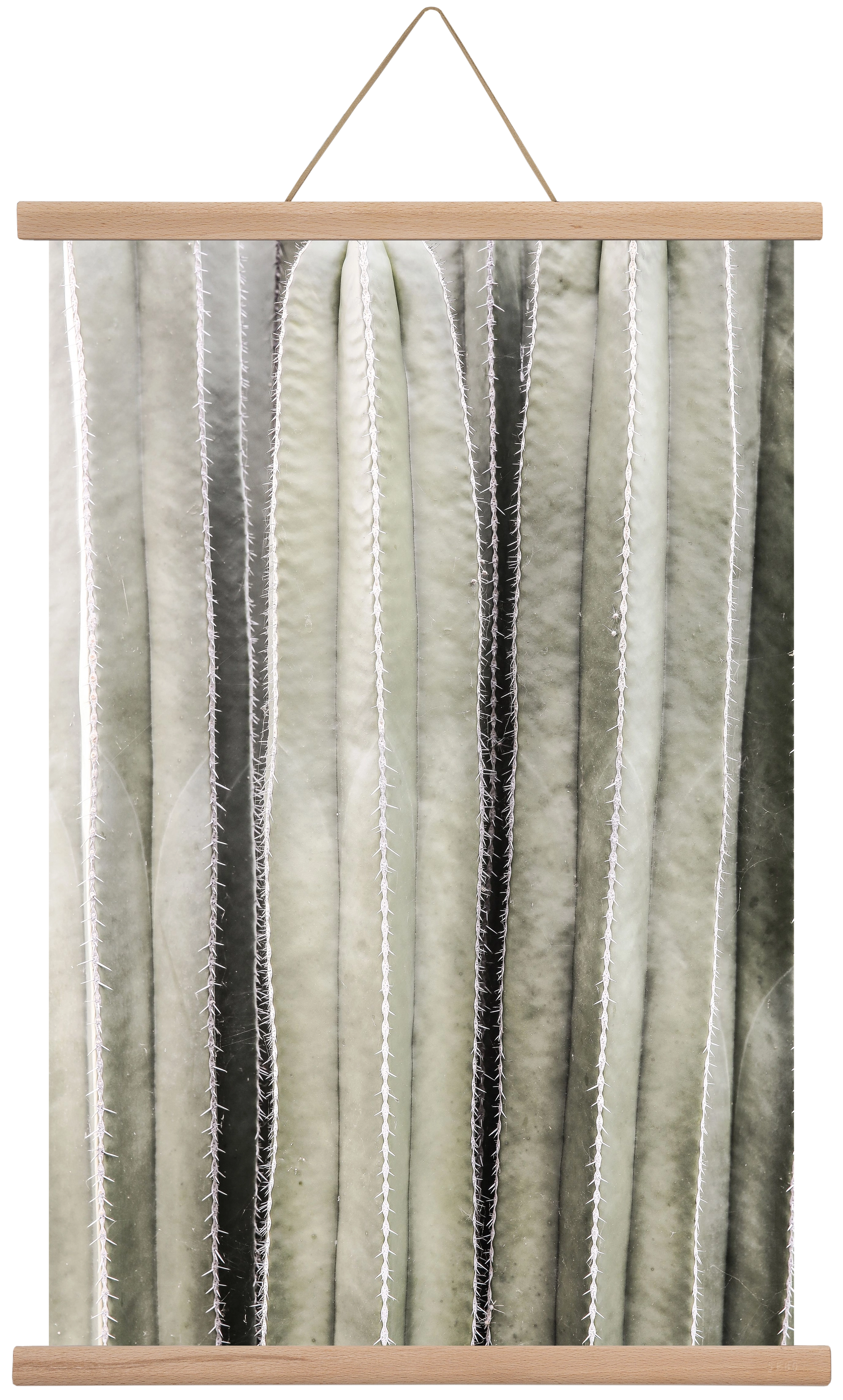 Cactiriver, 40x60 cm (40x60 cm), Tölgy akasztó