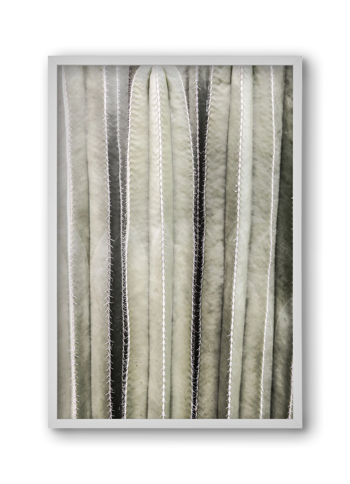 Cactiriver, 30x45 cm (30x45 cm), Fehér keret