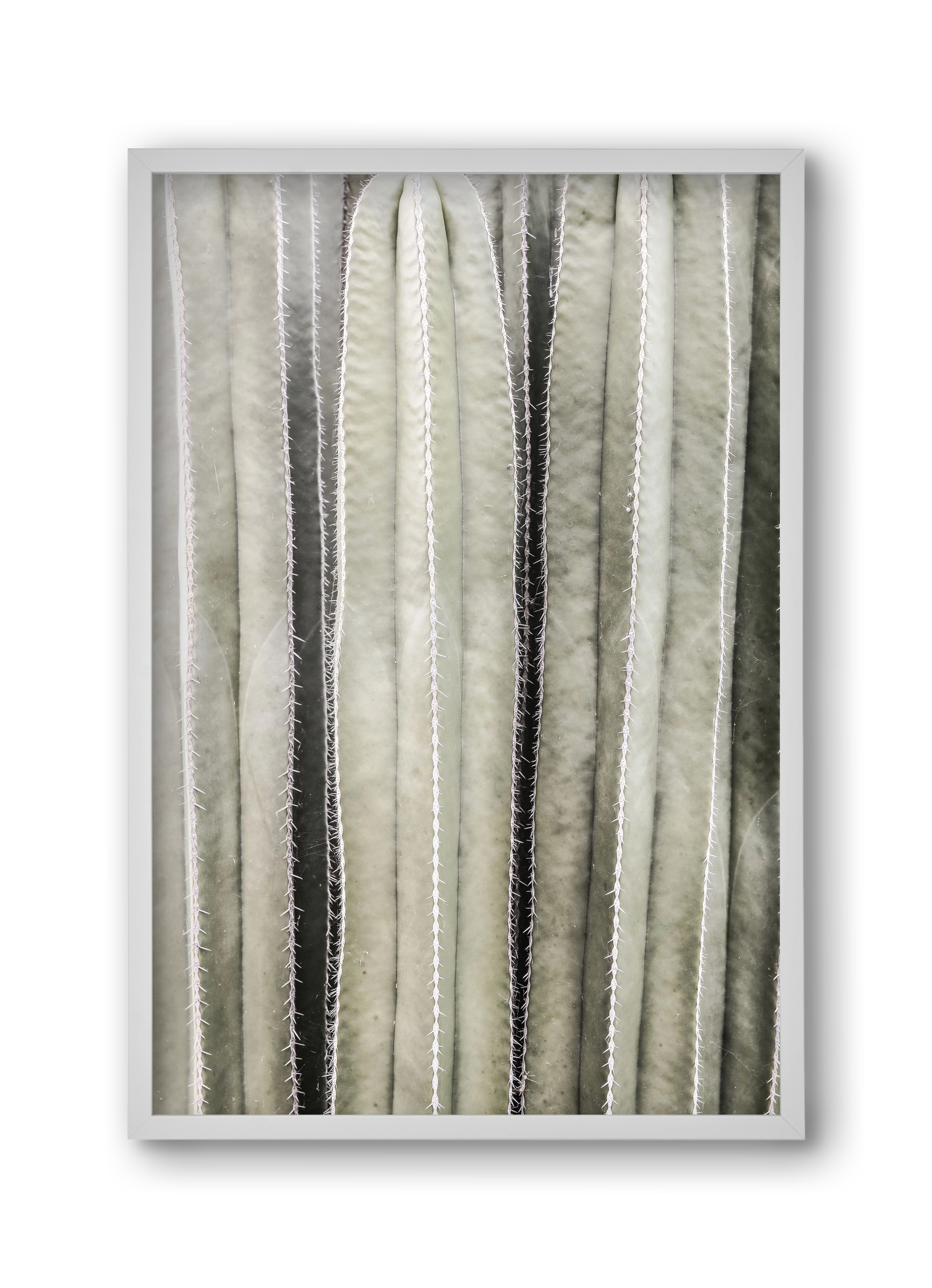 Cactiriver, 30x45 cm (30x45 cm), Fehér keret