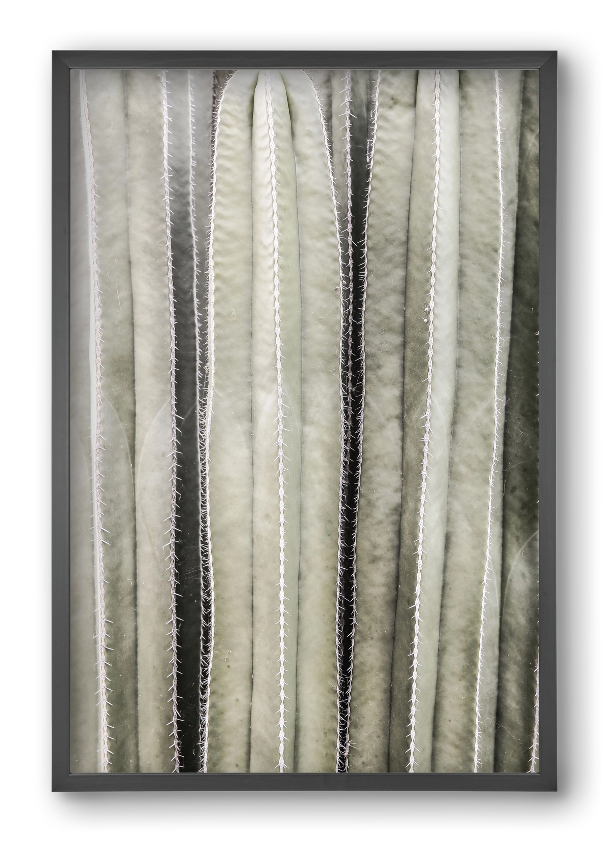 Cactiriver, 40x60 cm (40x60 cm), Fekete keret