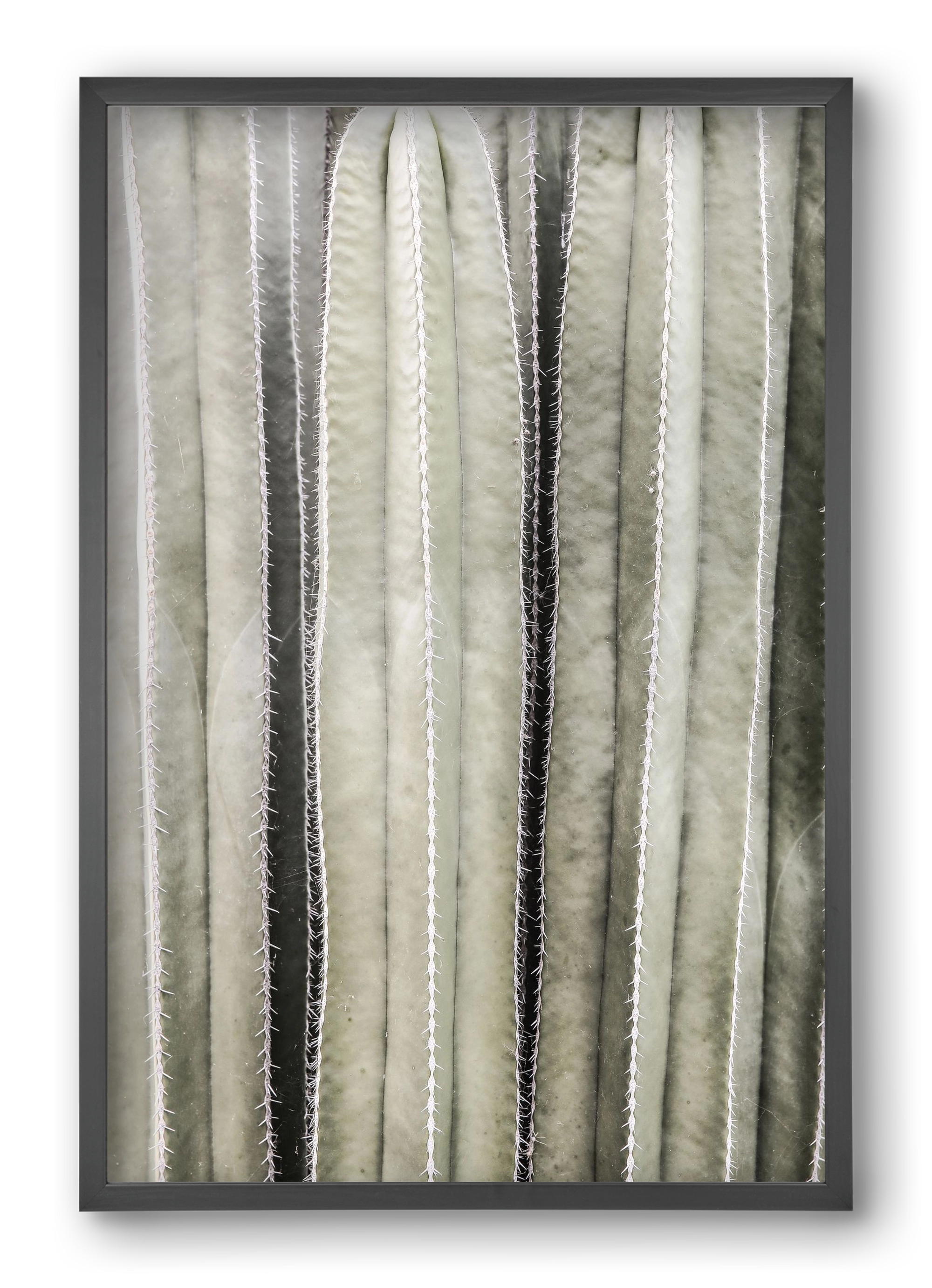 Cactiriver, 40x60 cm (40x60 cm), Fekete keret