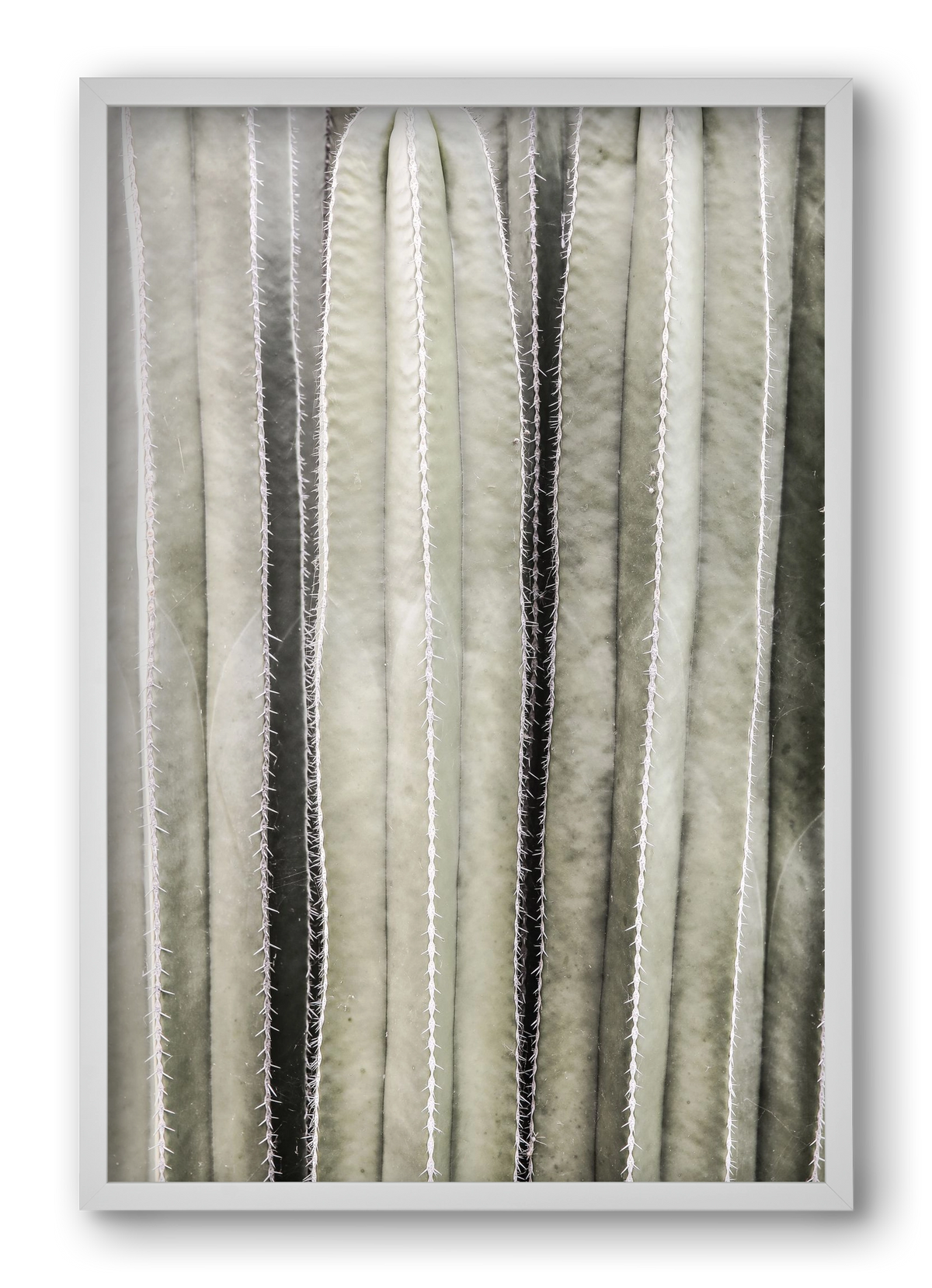 Cactiriver, 40x60 cm (40x60 cm), Fehér keret