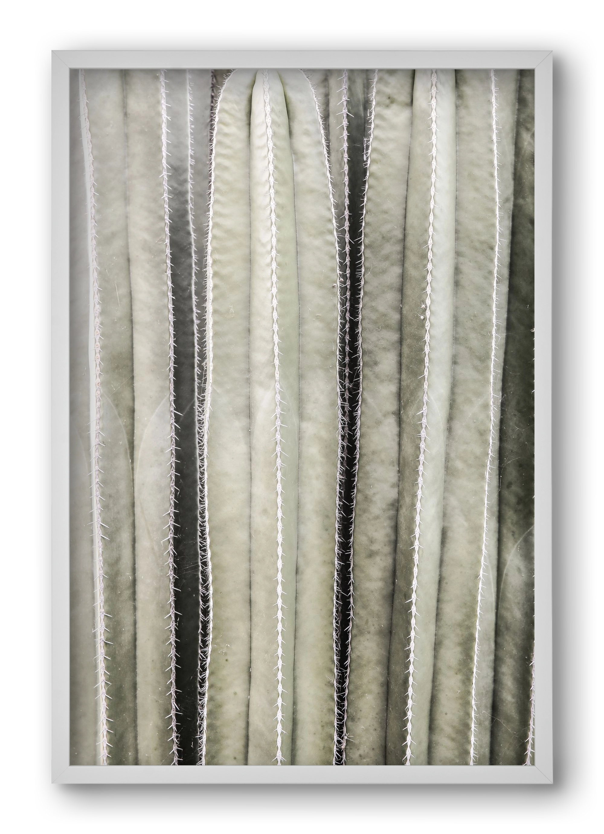 Cactiriver, 40x60 cm (40x60 cm), Fehér keret