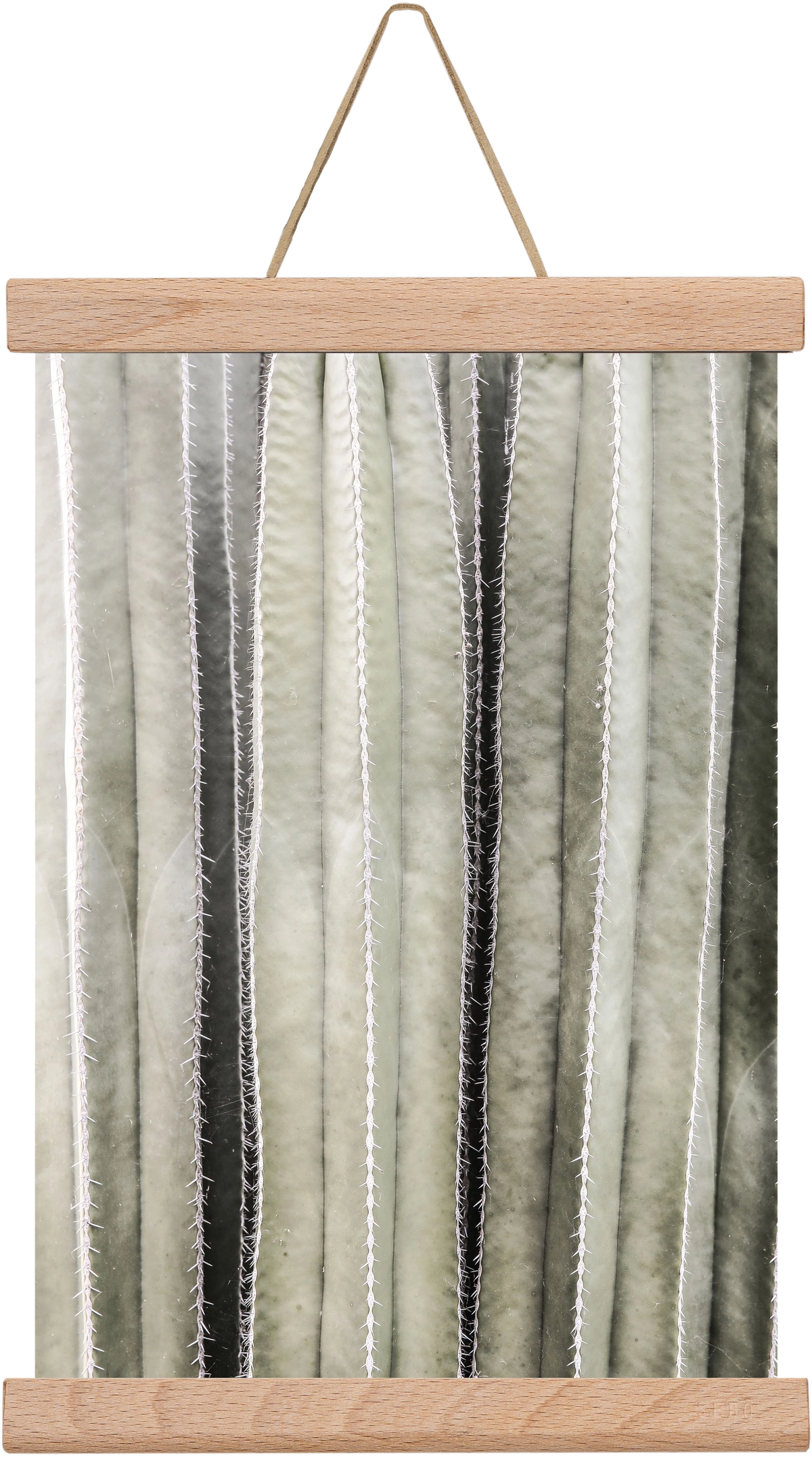 Cactiriver, 20x30 cm (20x30 cm), Tölgy akasztó