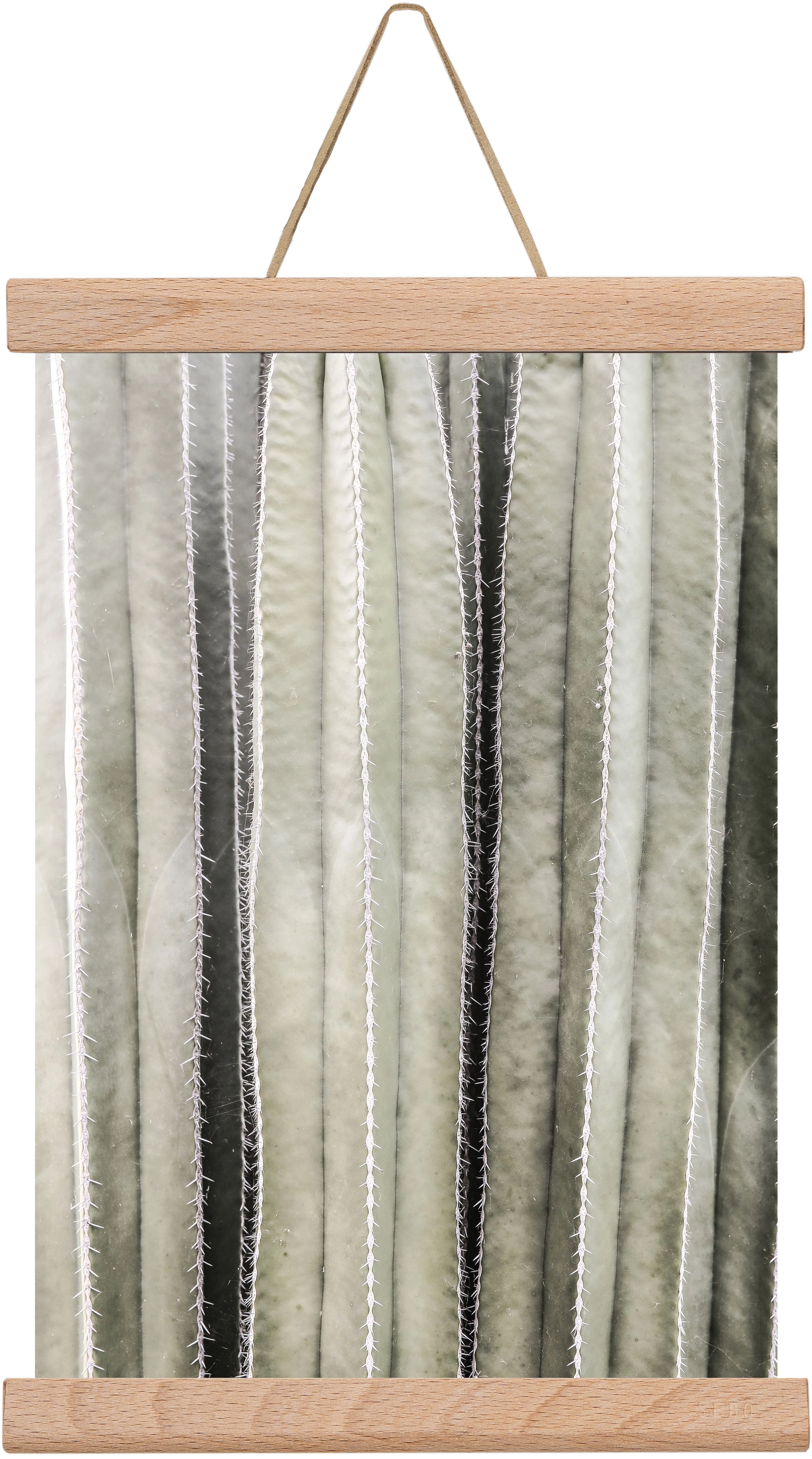 Cactiriver, 20x30 cm (20x30 cm), Tölgy akasztó