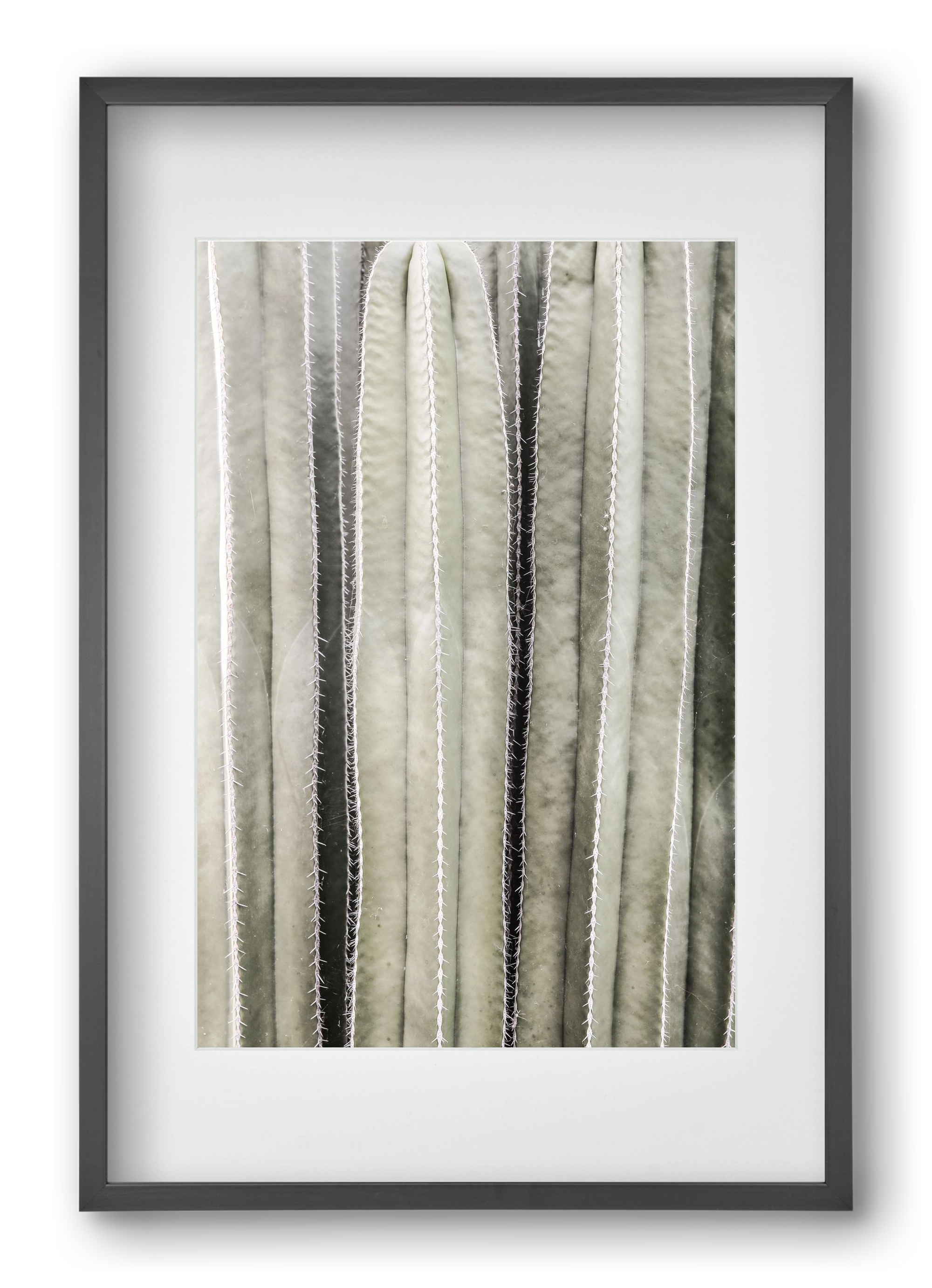 Cactiriver, 40x60 cm (30x45 cm), Fekete keret, paszpartuval