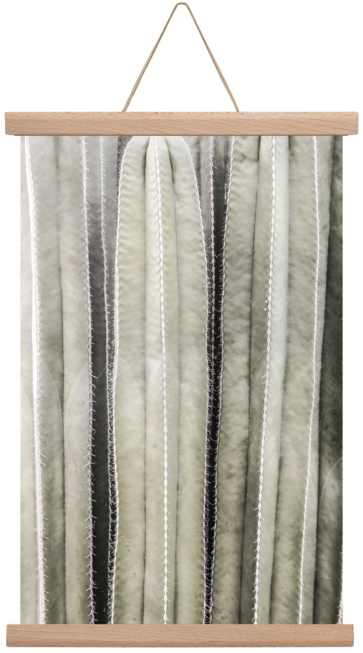 Cactiriver, 30x45 cm (30x45 cm), Tölgy akasztó