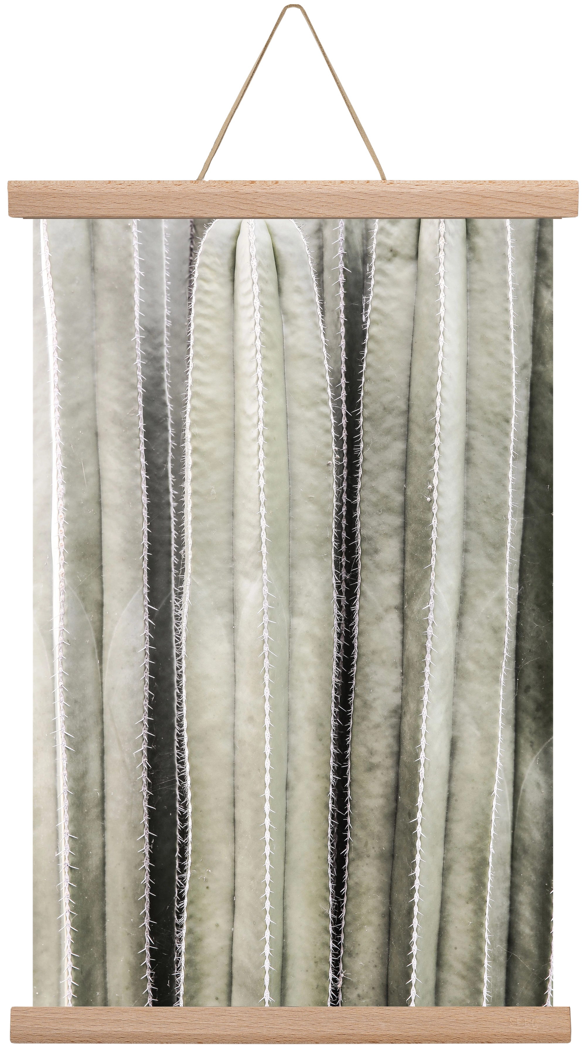 Cactiriver, 30x45 cm (30x45 cm), Tölgy akasztó