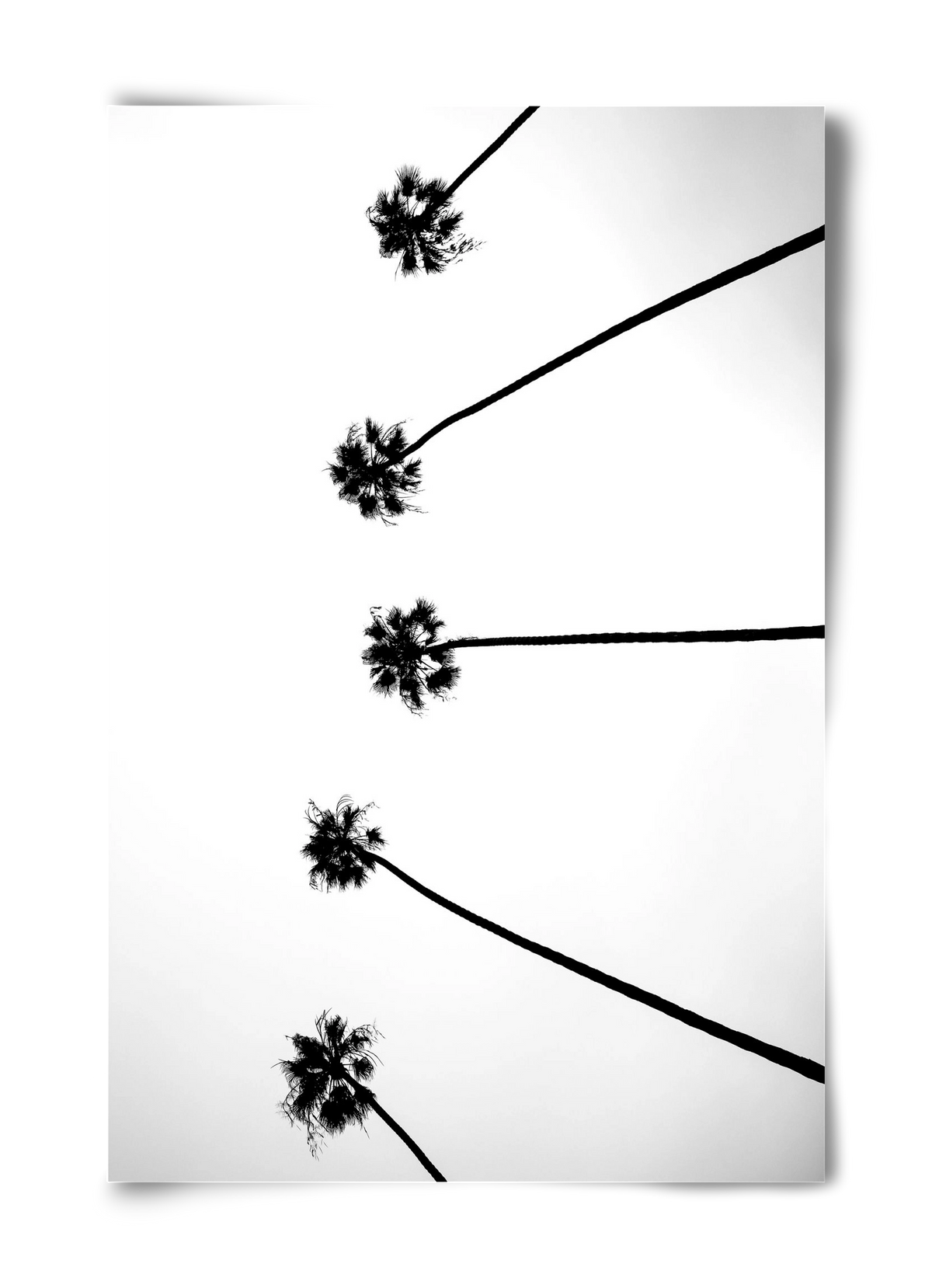 Cali Cathedrals, 40x60 cm, Keret nélkül