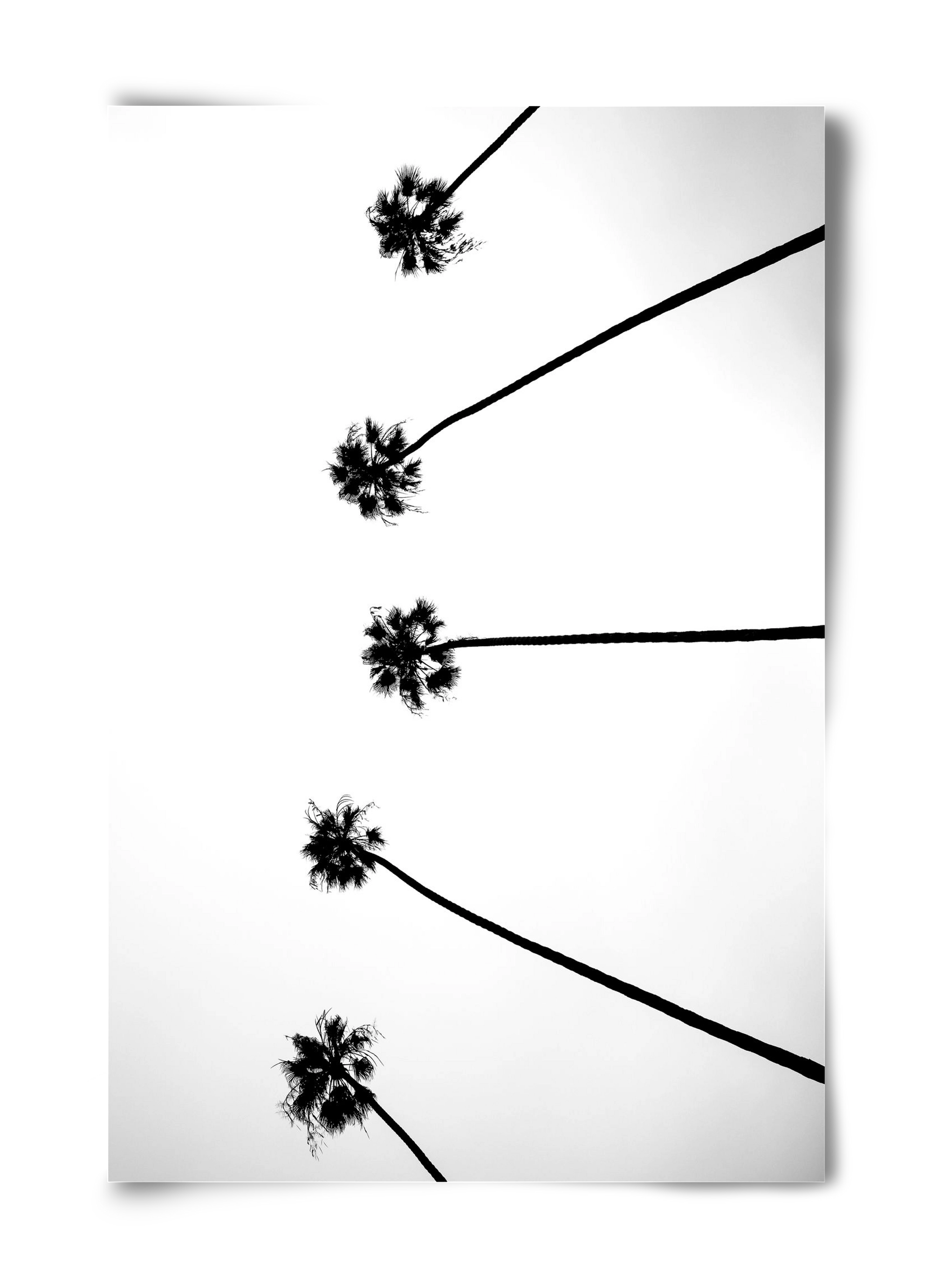 Cali Cathedrals, 40x60 cm, Keret nélkül