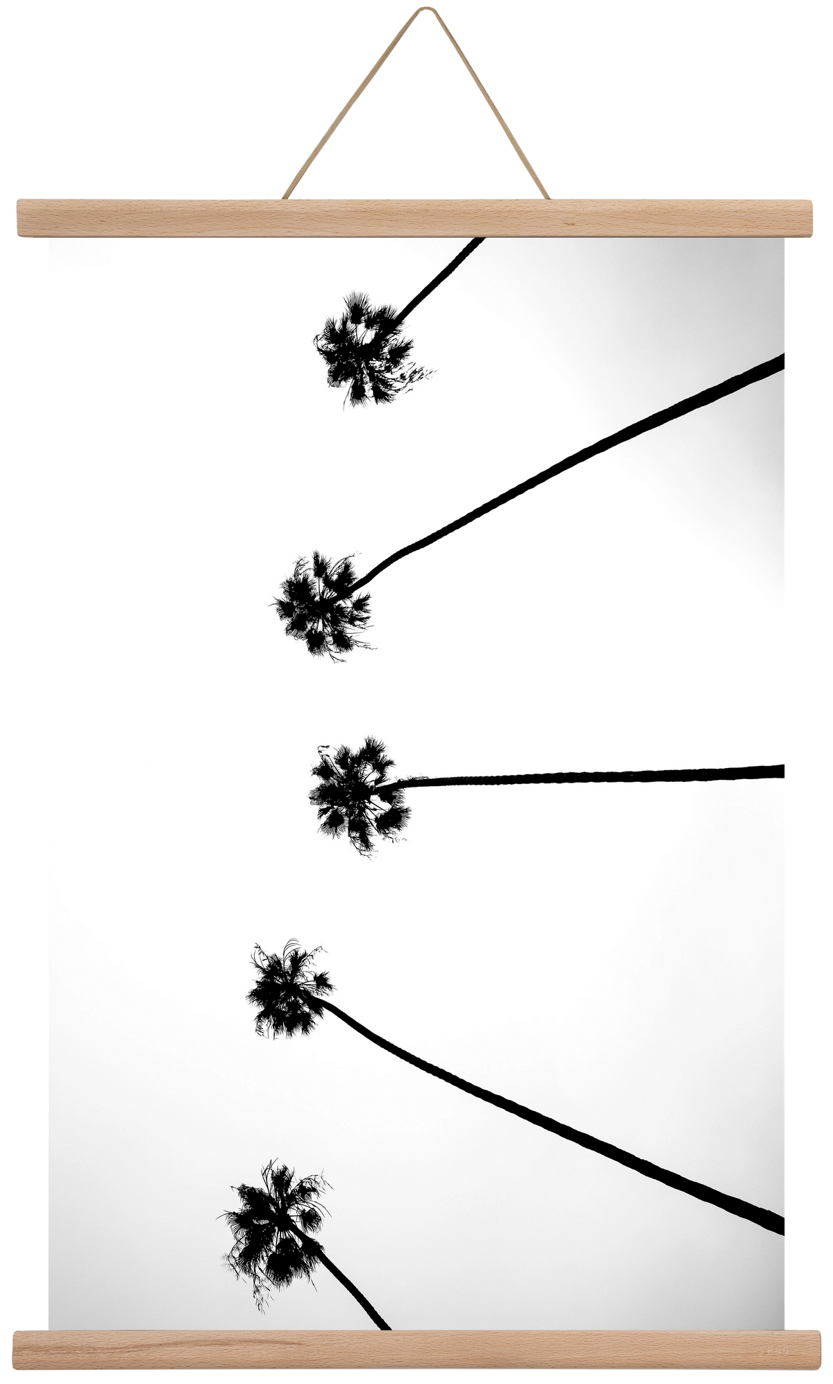 Cali Cathedrals, 40x60 cm (40x60 cm), Tölgy akasztó