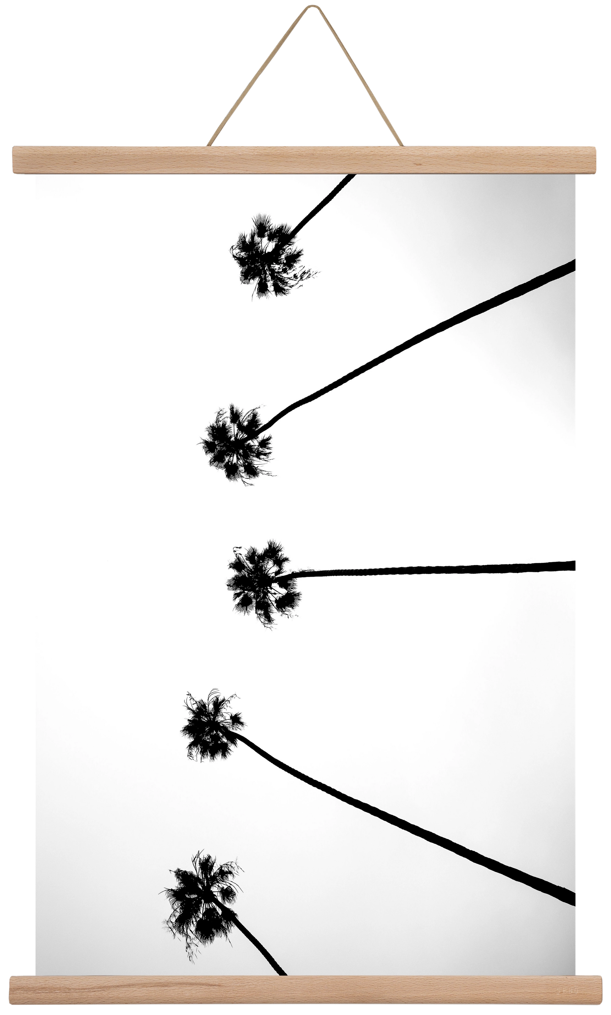 Cali Cathedrals, 40x60 cm (40x60 cm), Tölgy akasztó